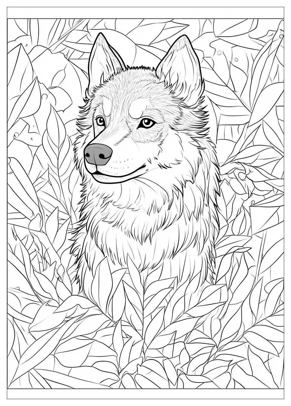 Husky Ausmalbilder 12