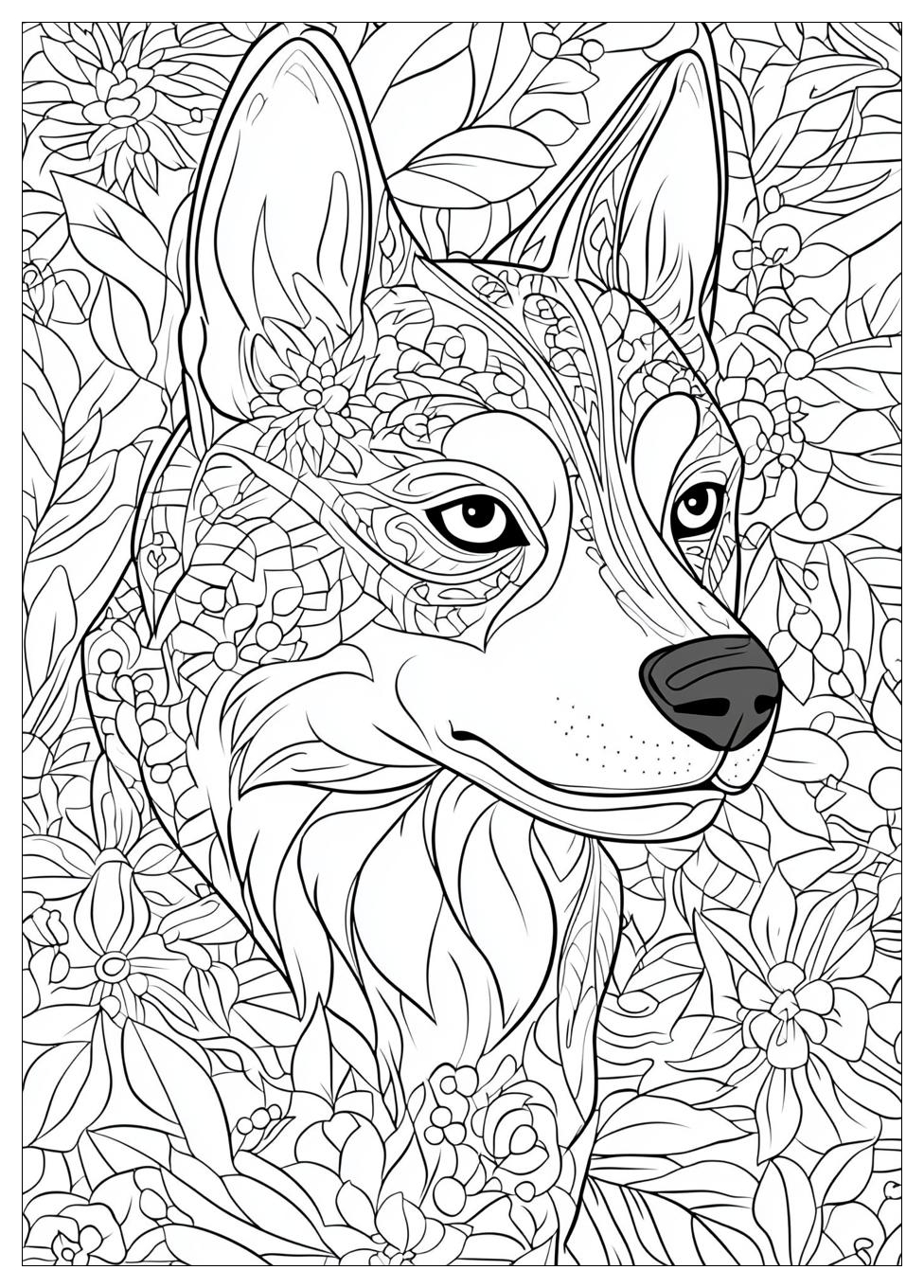 Husky Ausmalbilder 13