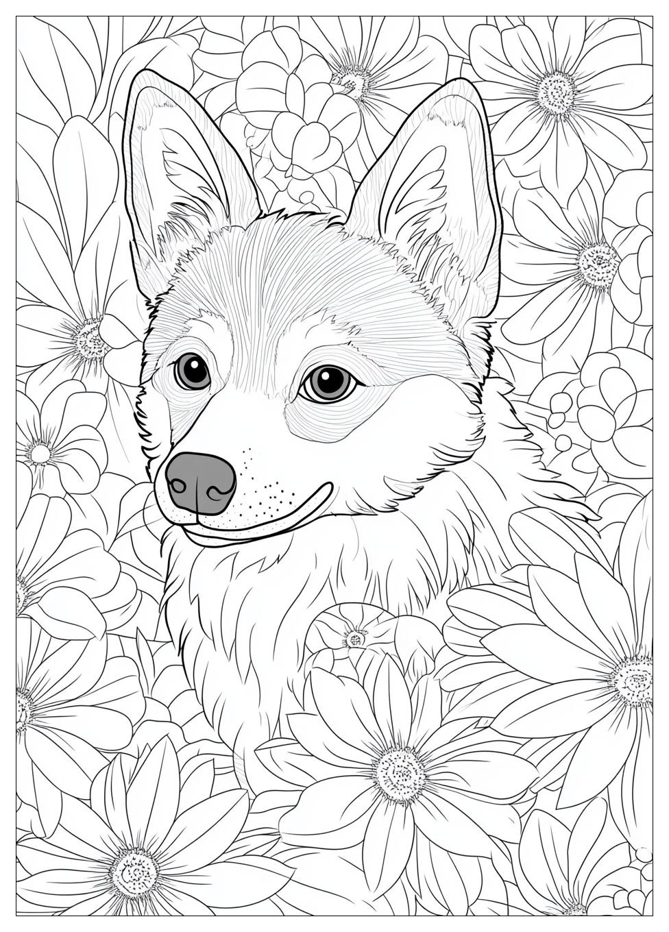 Husky Ausmalbilder 18