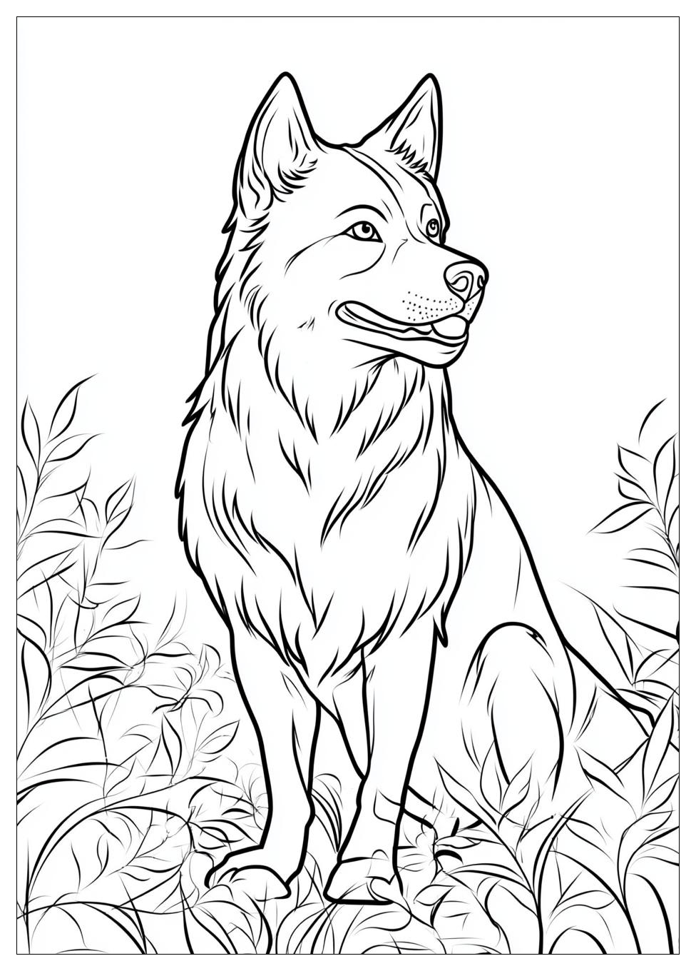 Husky Ausmalbilder 19