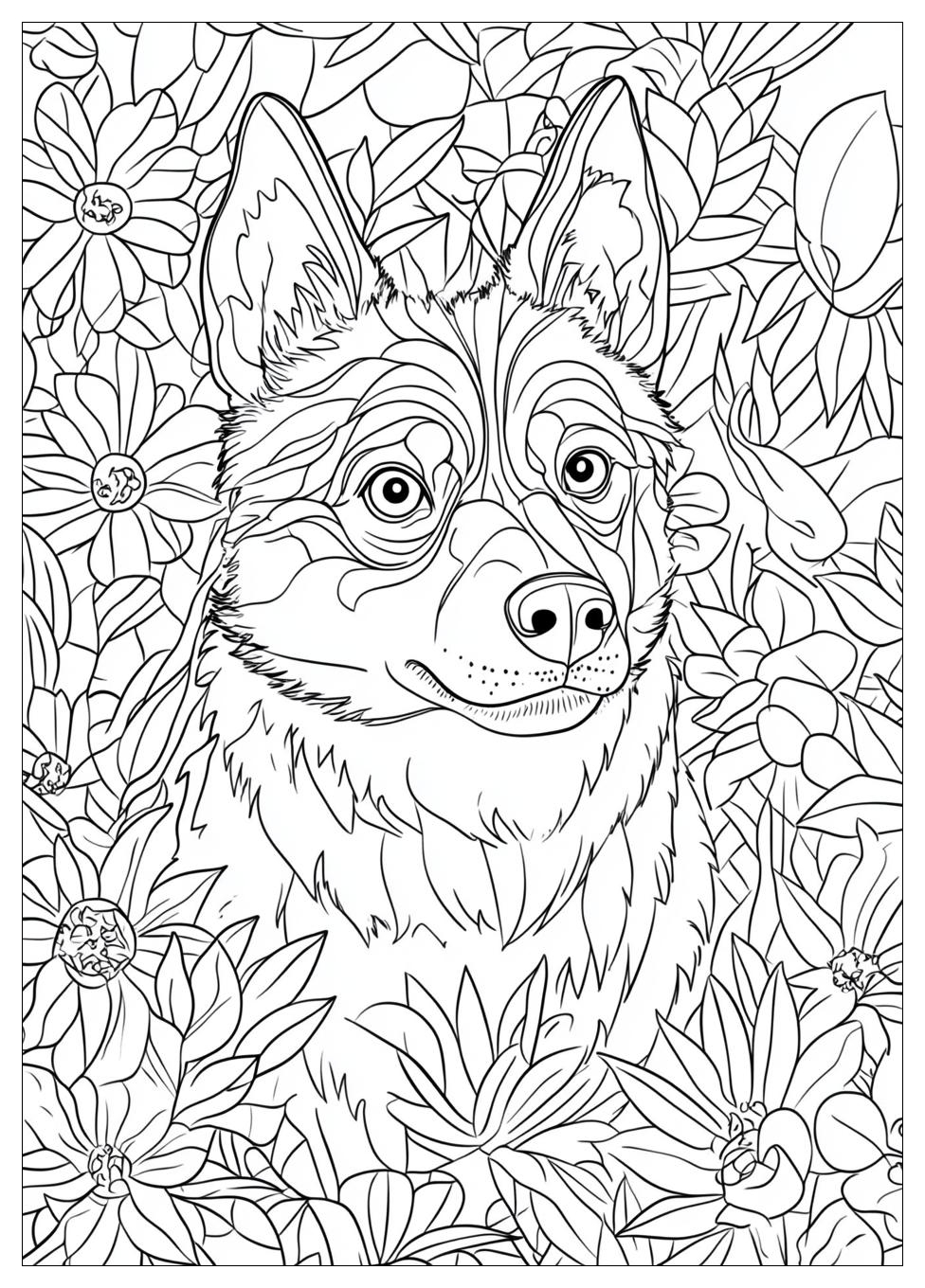 Husky Ausmalbilder 21