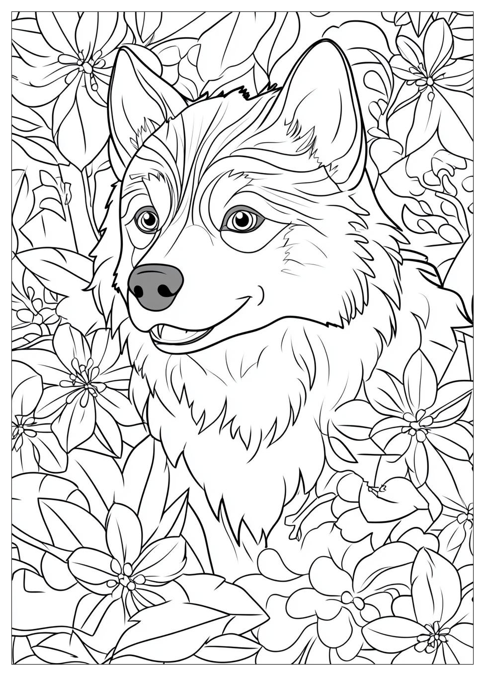 Husky Ausmalbilder 22