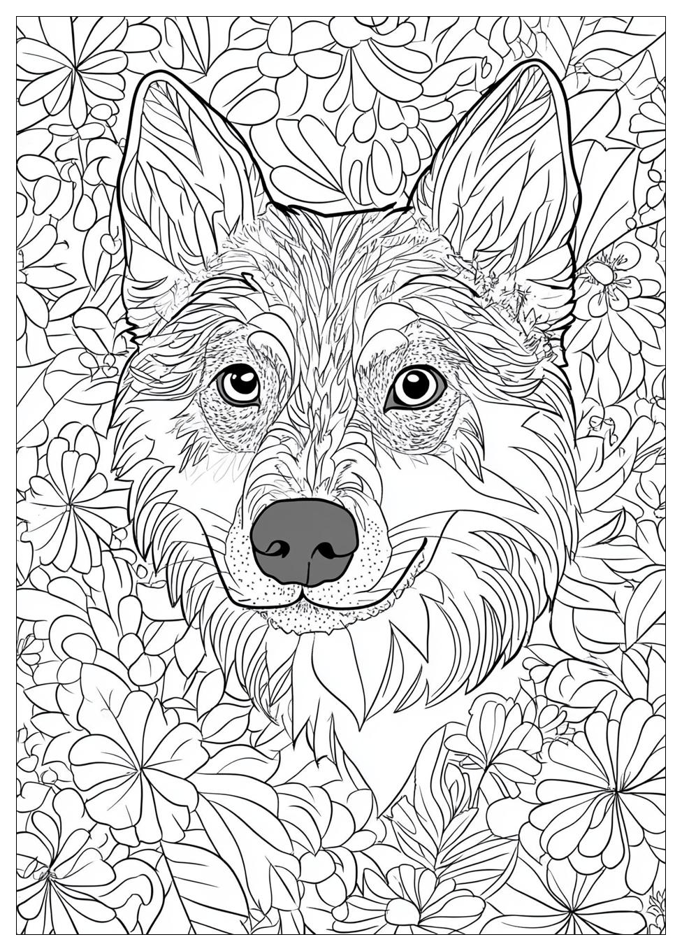 Husky Ausmalbilder 7