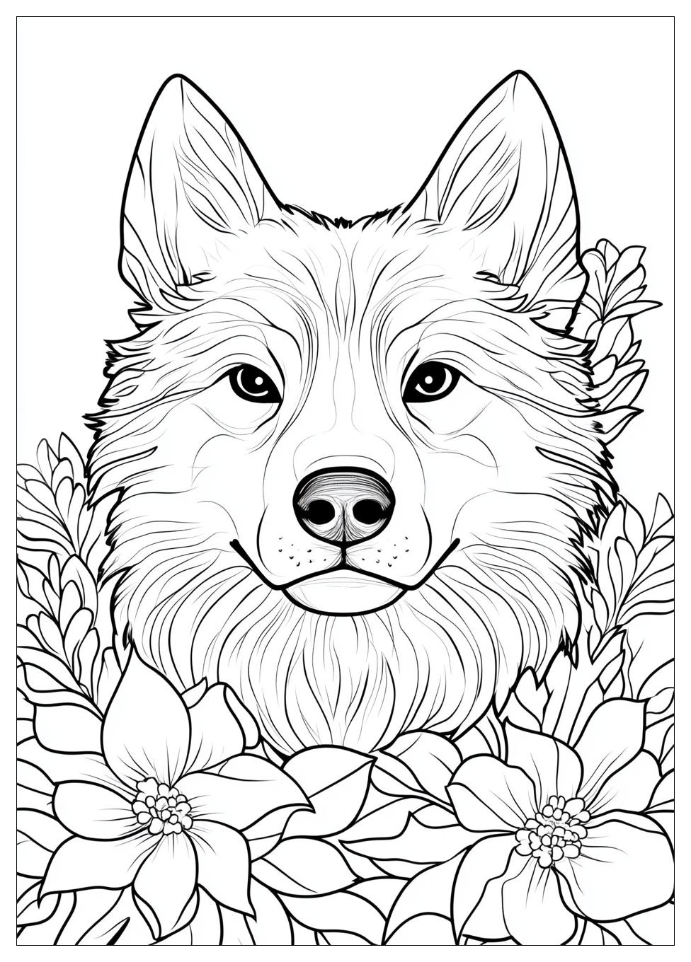 Husky Ausmalbilder 8