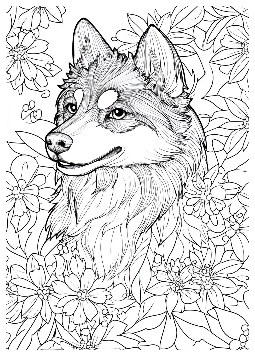 Husky Ausmalbilder 9