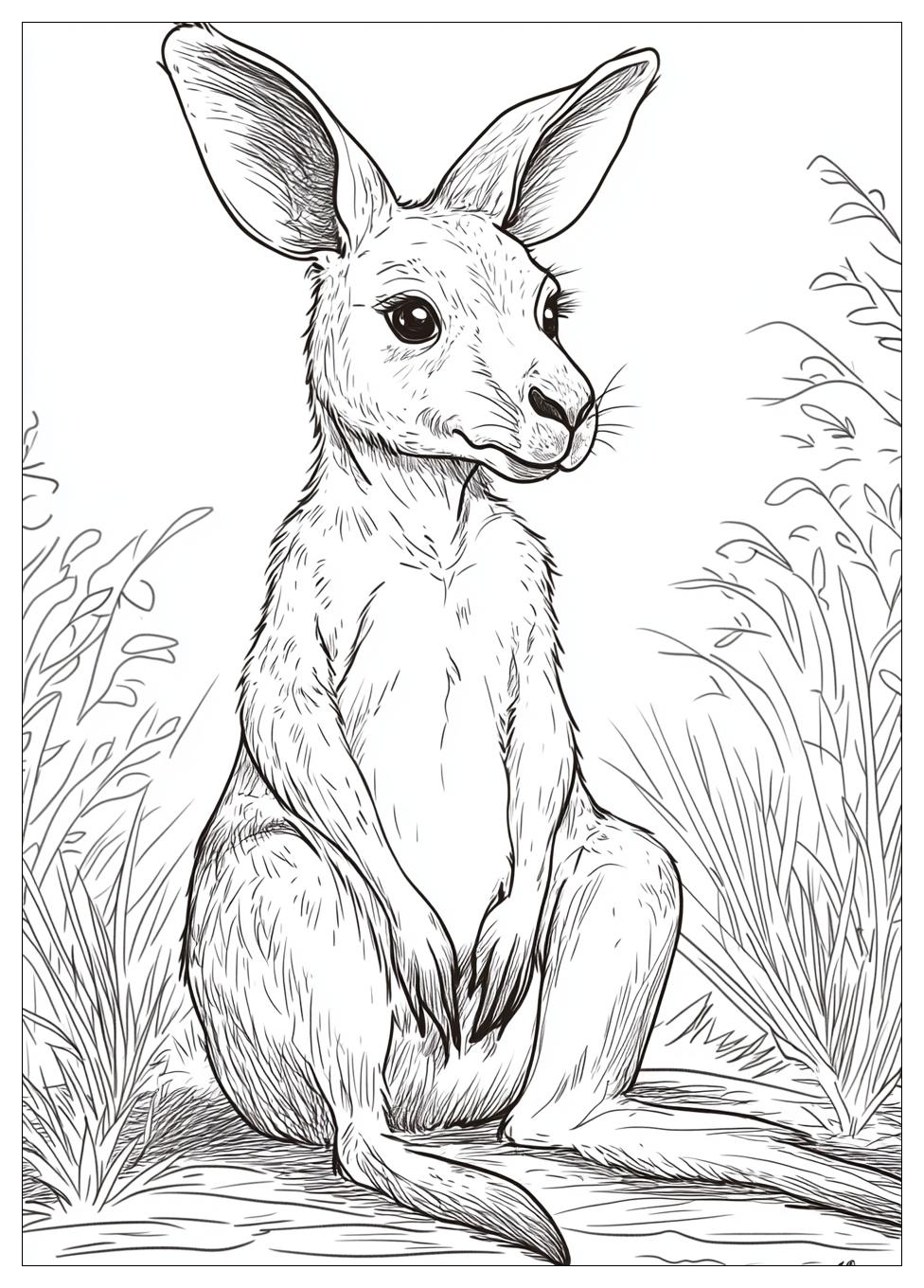 Känguru Ausmalbilder 16