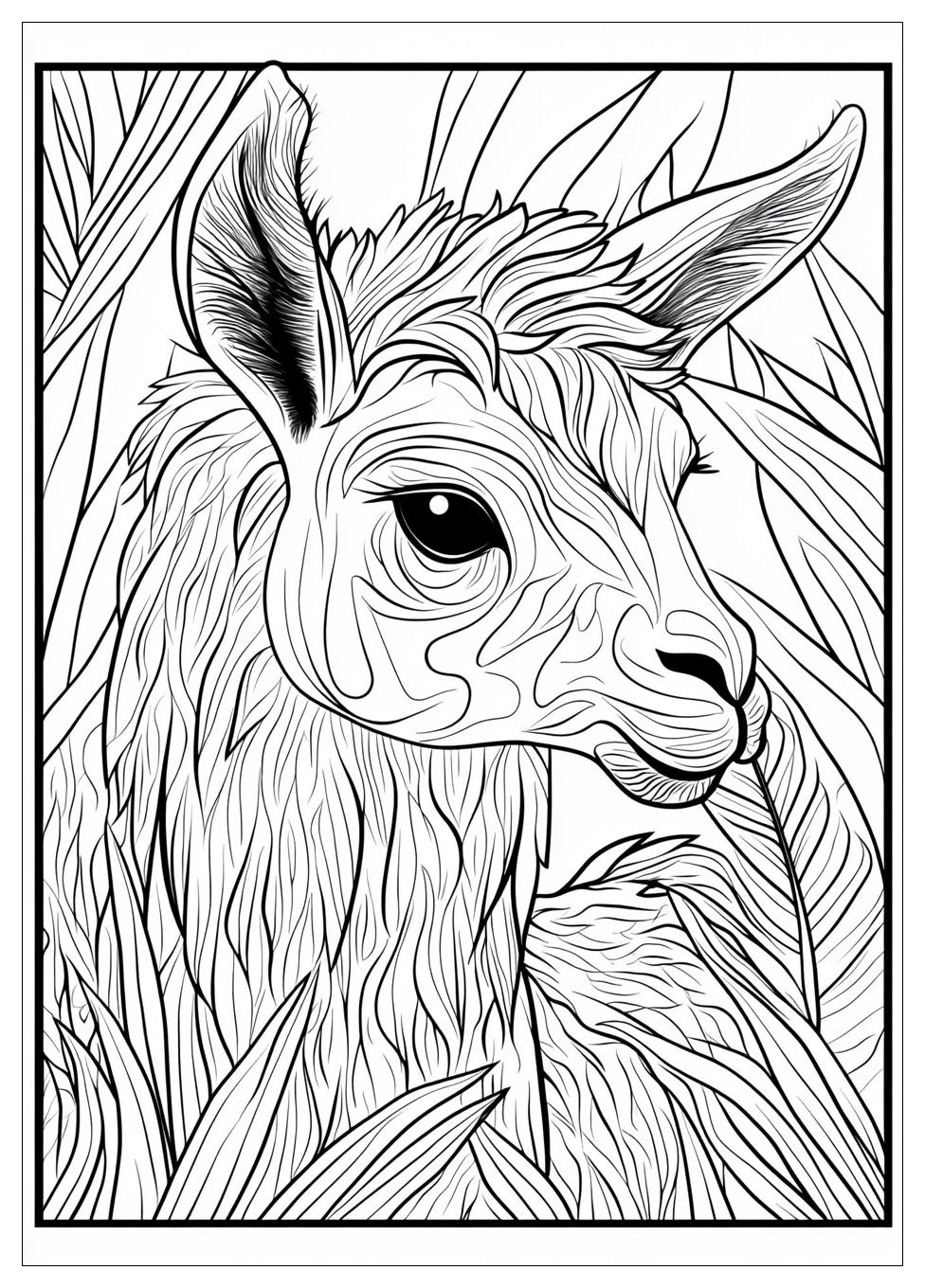Lama Ausmalbilder 1