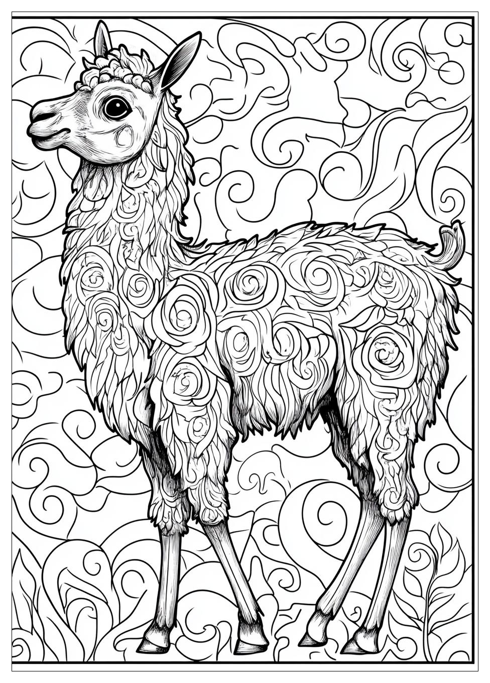 Lama Ausmalbilder 13