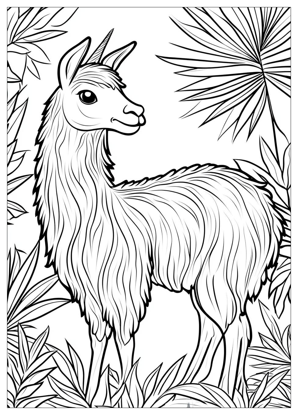 Lama Ausmalbilder 15
