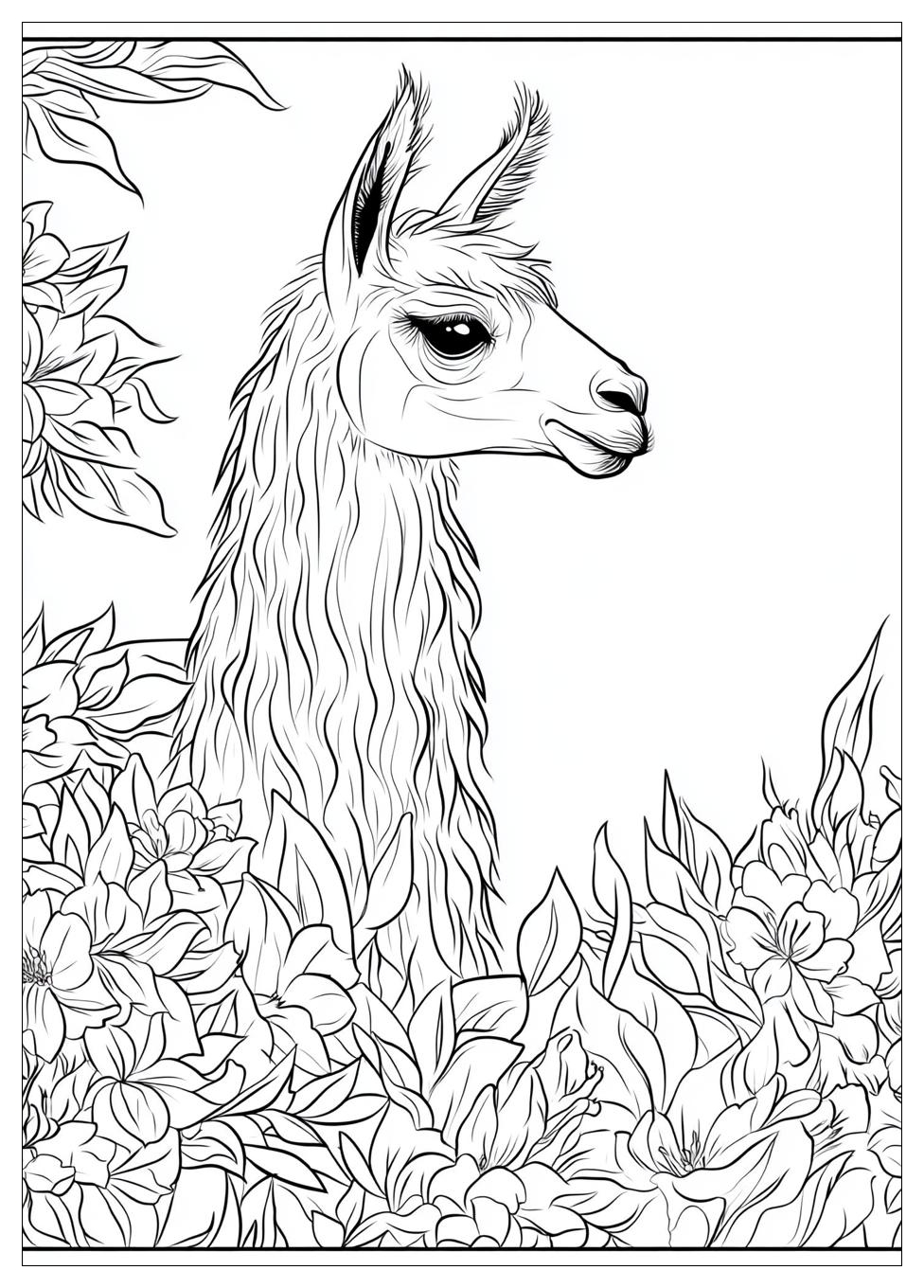 Lama Ausmalbilder 17
