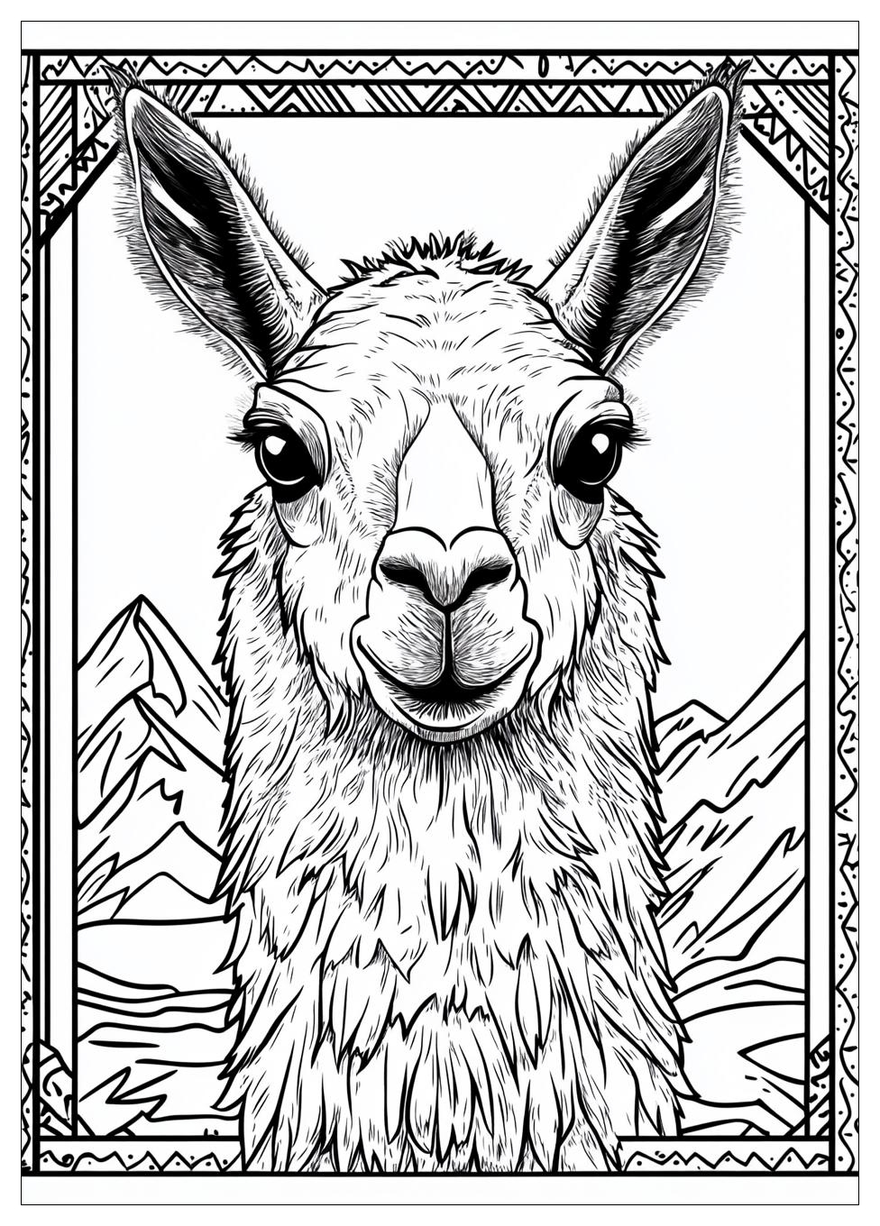 Lama Ausmalbilder 20