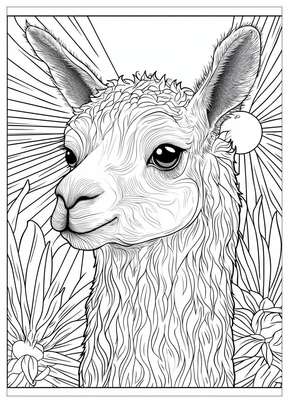 Lama Ausmalbilder 3