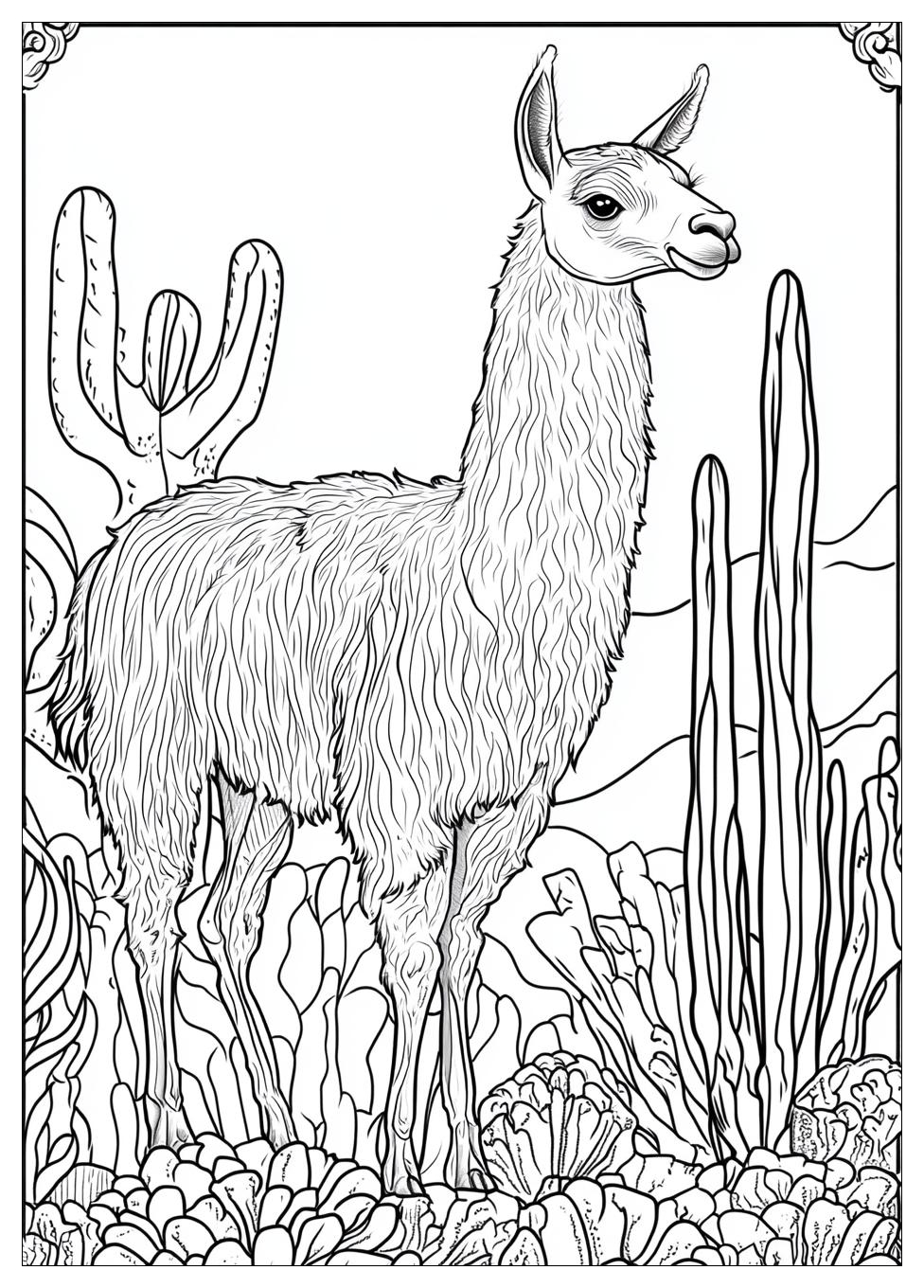 Lama Ausmalbilder 5