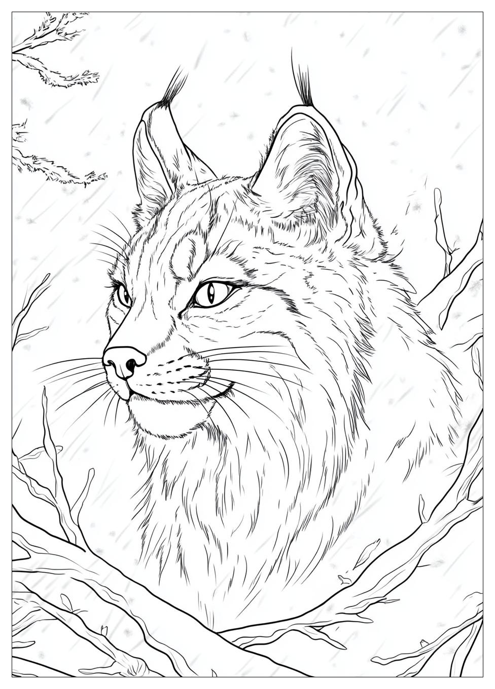 Luchs Ausmalbilder 1