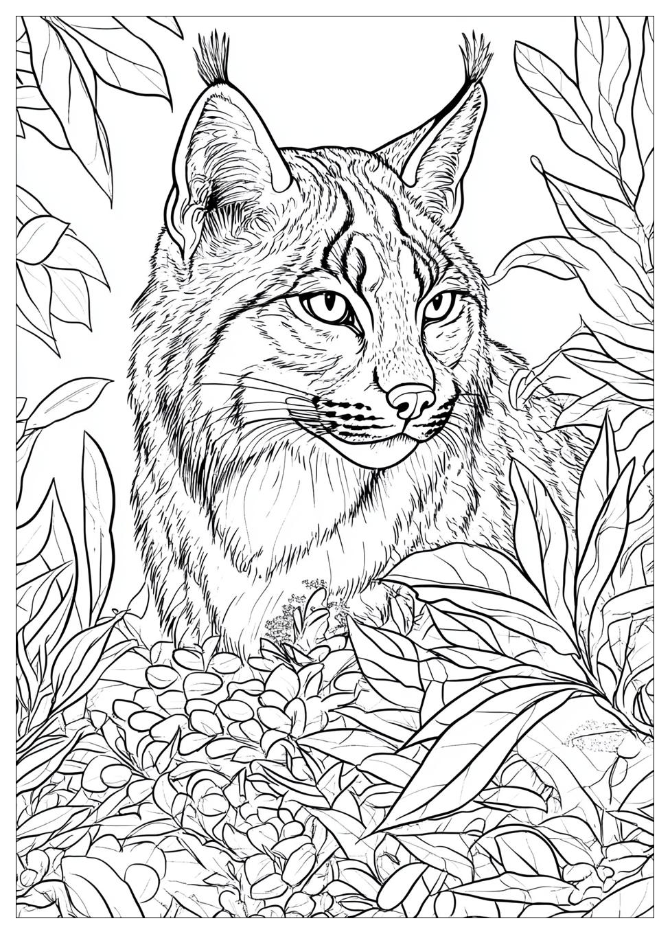 Luchs Ausmalbilder 11