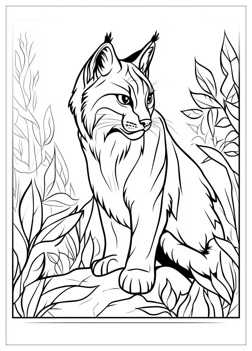 Luchs Ausmalbilder 12