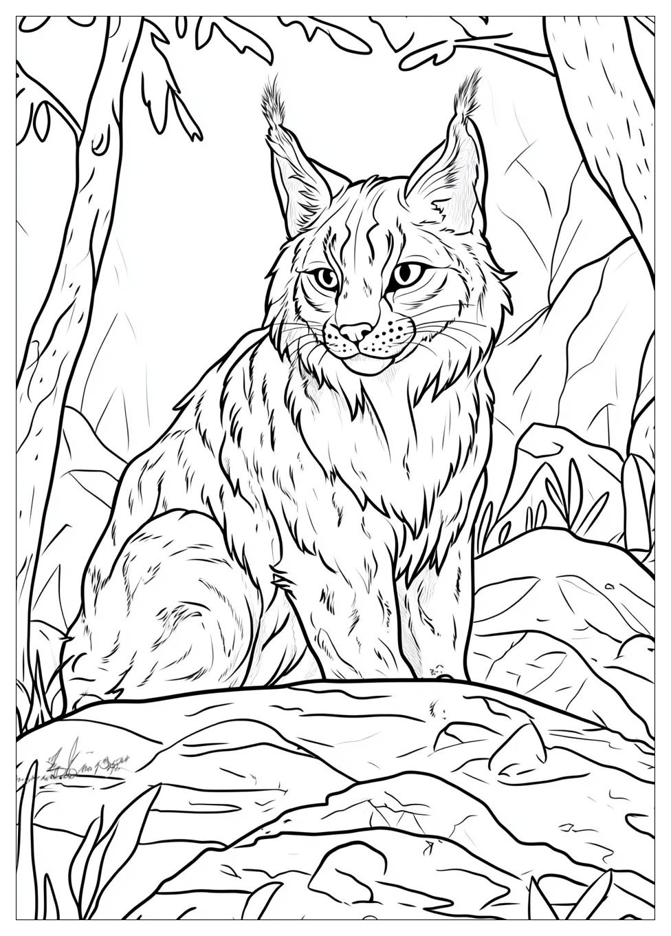 Luchs Ausmalbilder 13