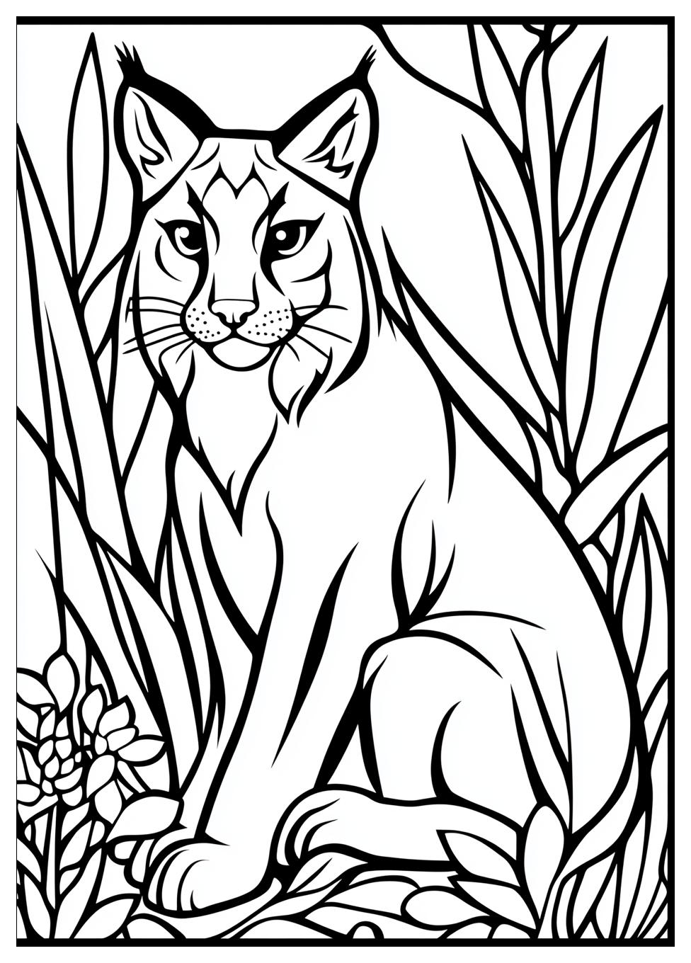 Luchs Ausmalbilder 14