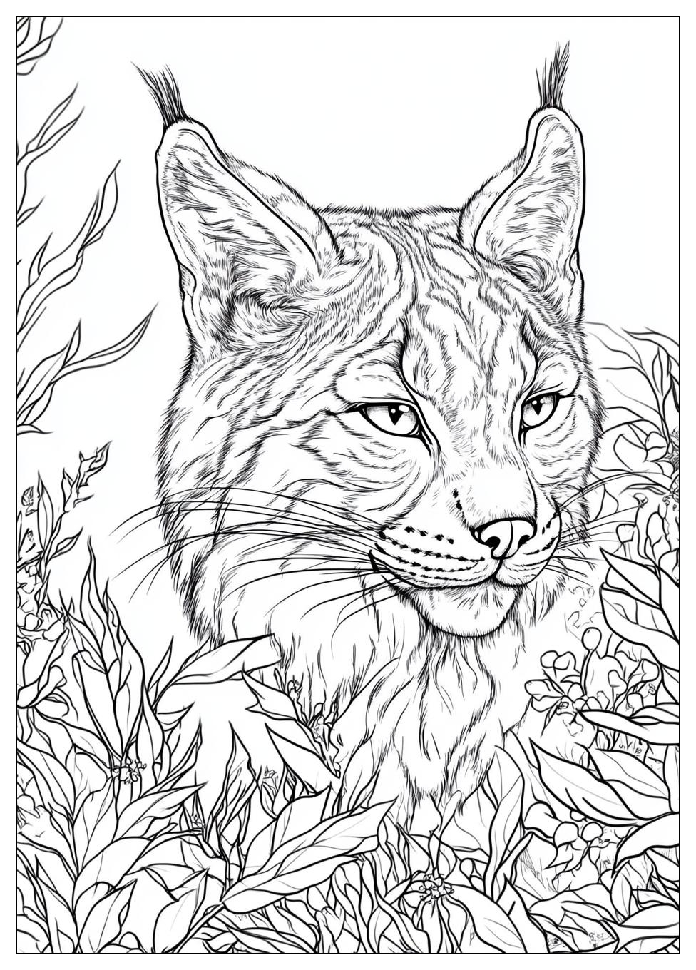 Luchs Ausmalbilder 15