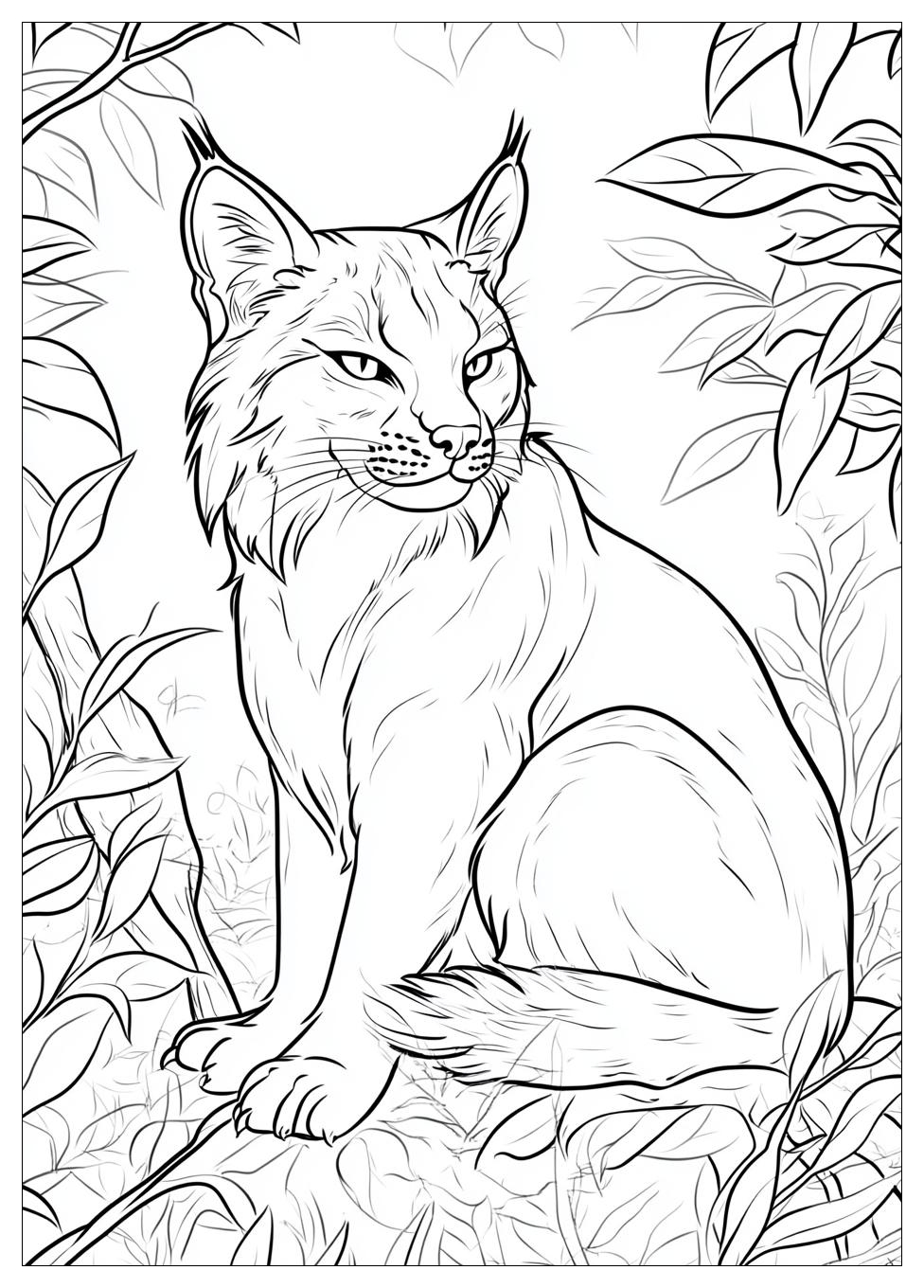 Luchs Ausmalbilder 16