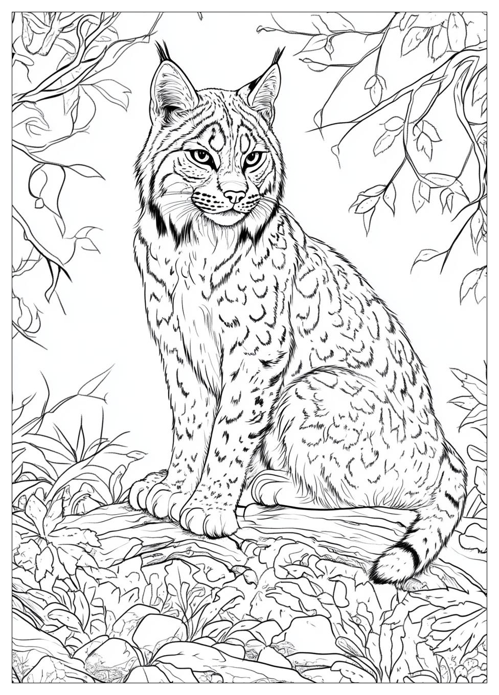Luchs Ausmalbilder 17
