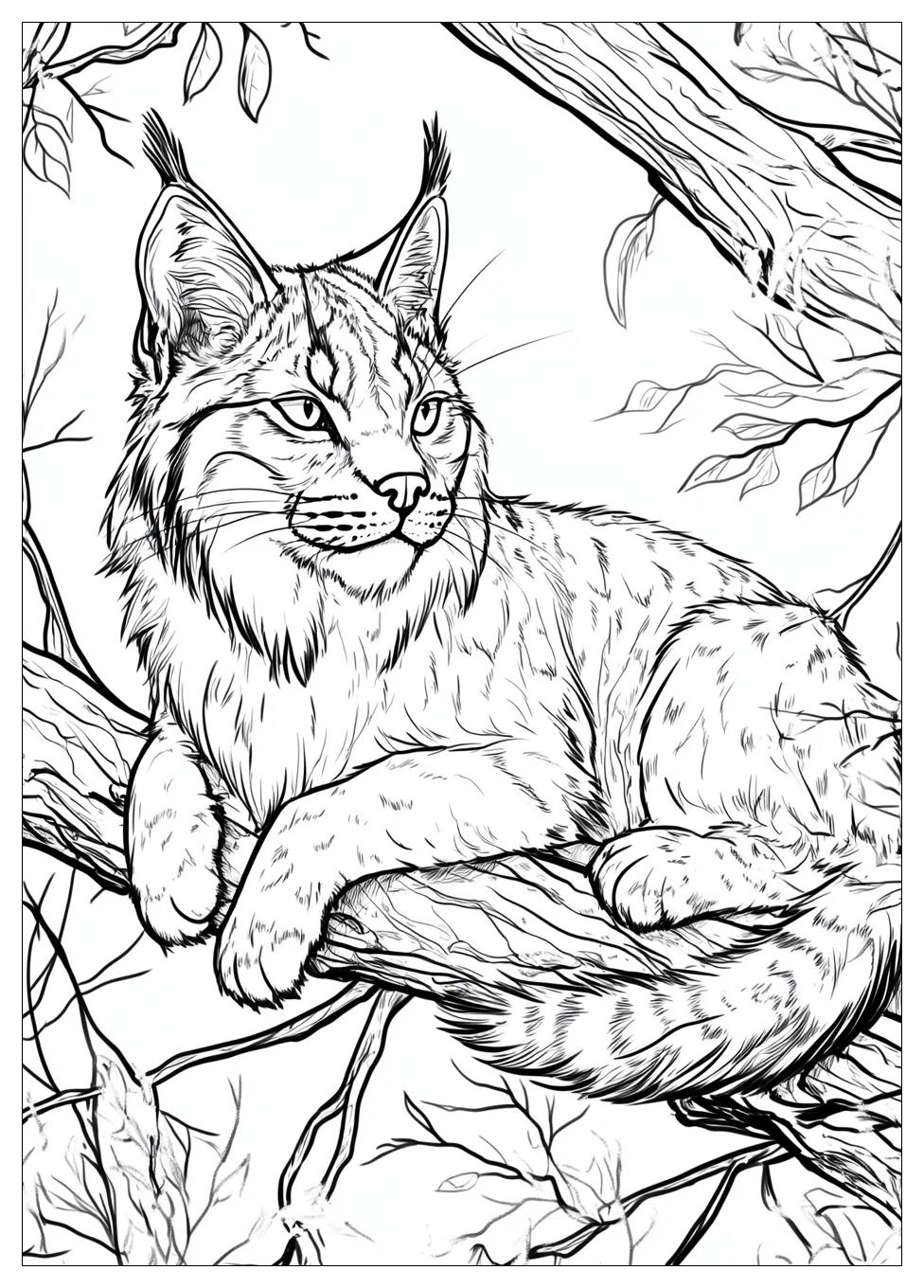 Luchs Ausmalbilder 18
