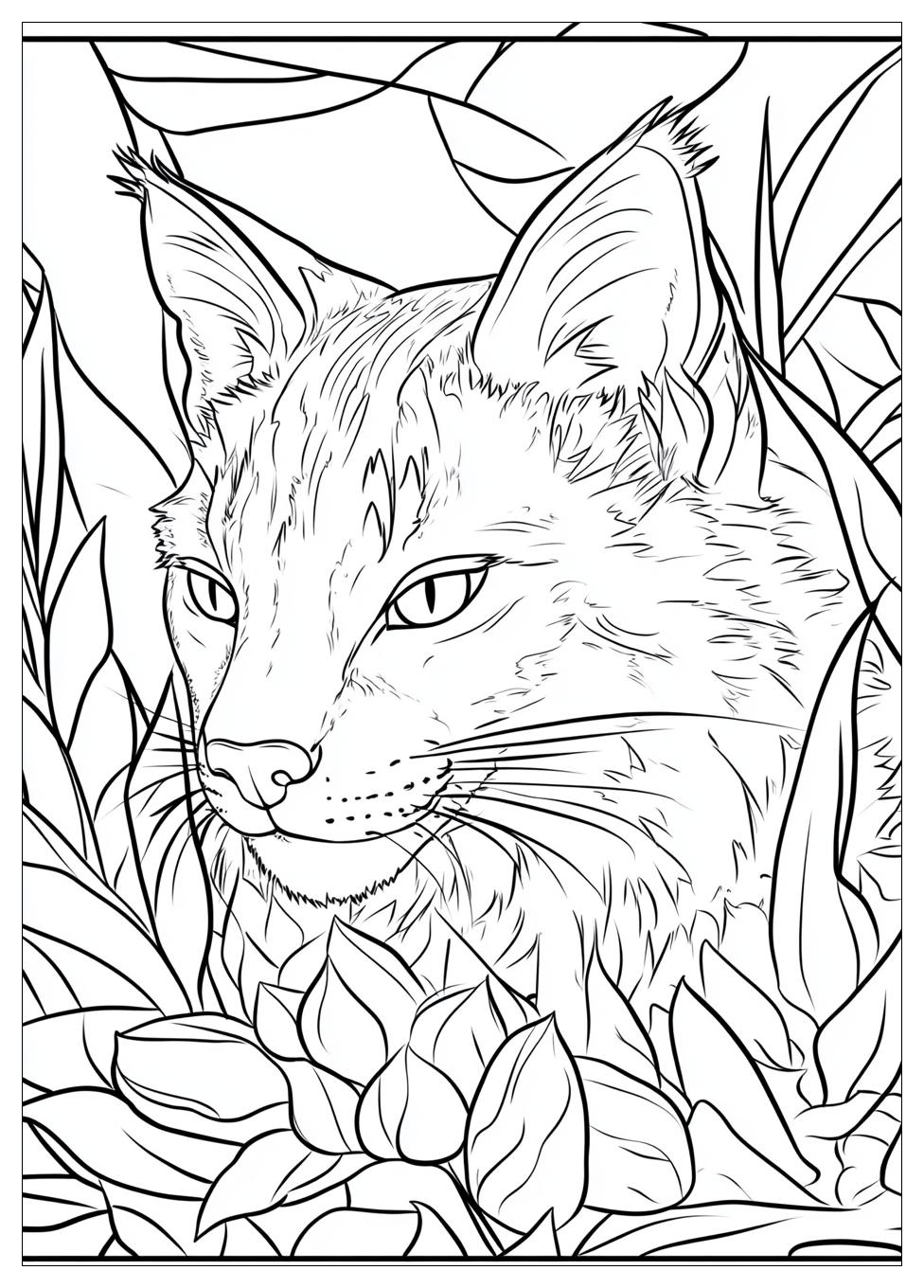 Luchs Ausmalbilder 19