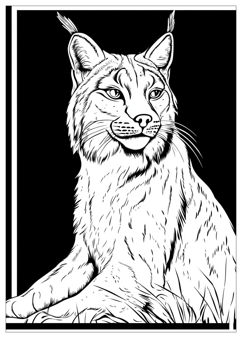 Luchs Ausmalbilder 20