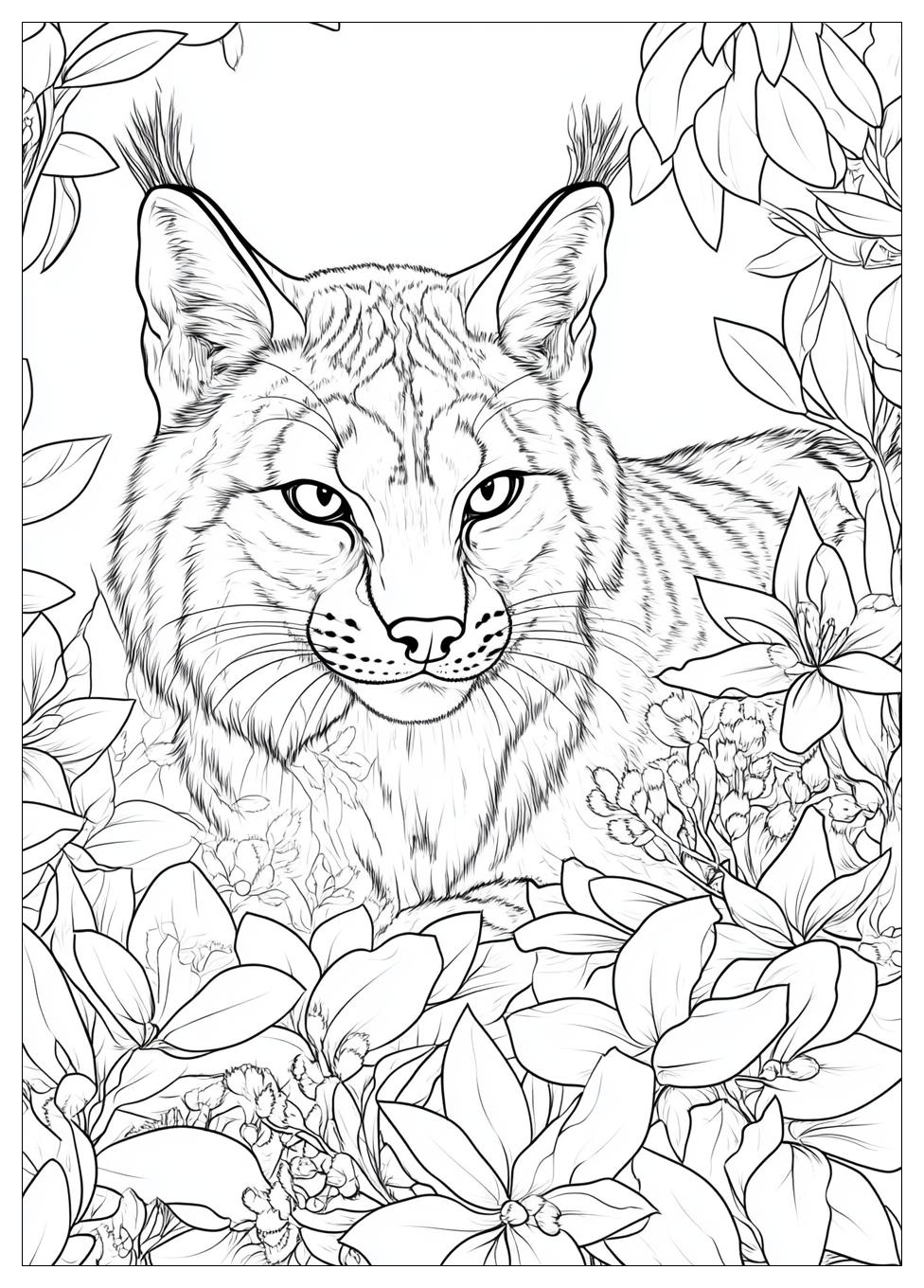 Luchs Ausmalbilder 21