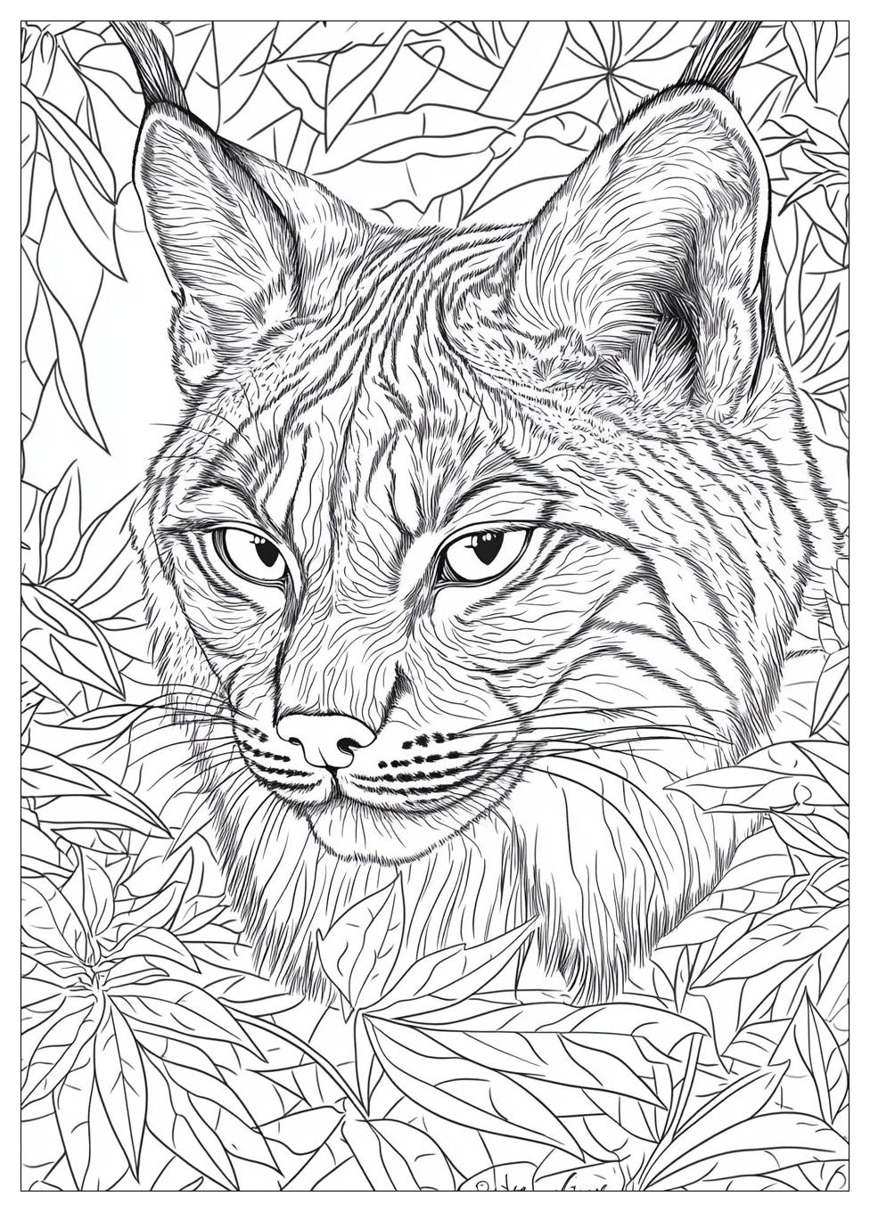 Luchs Ausmalbilder 23