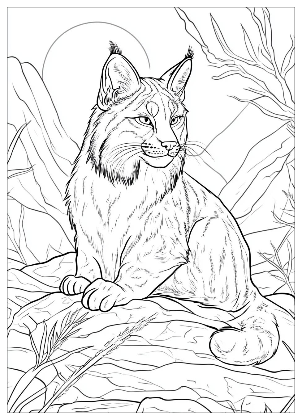 Luchs Ausmalbilder 3