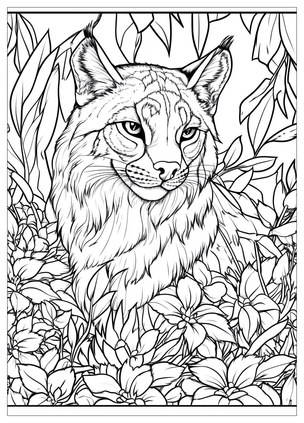 Luchs Ausmalbilder 5