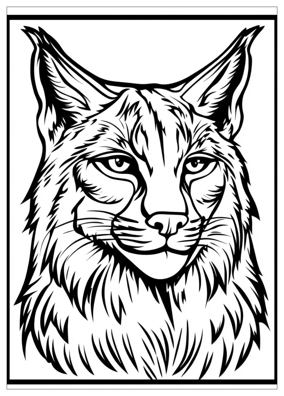 Luchs Ausmalbilder 7