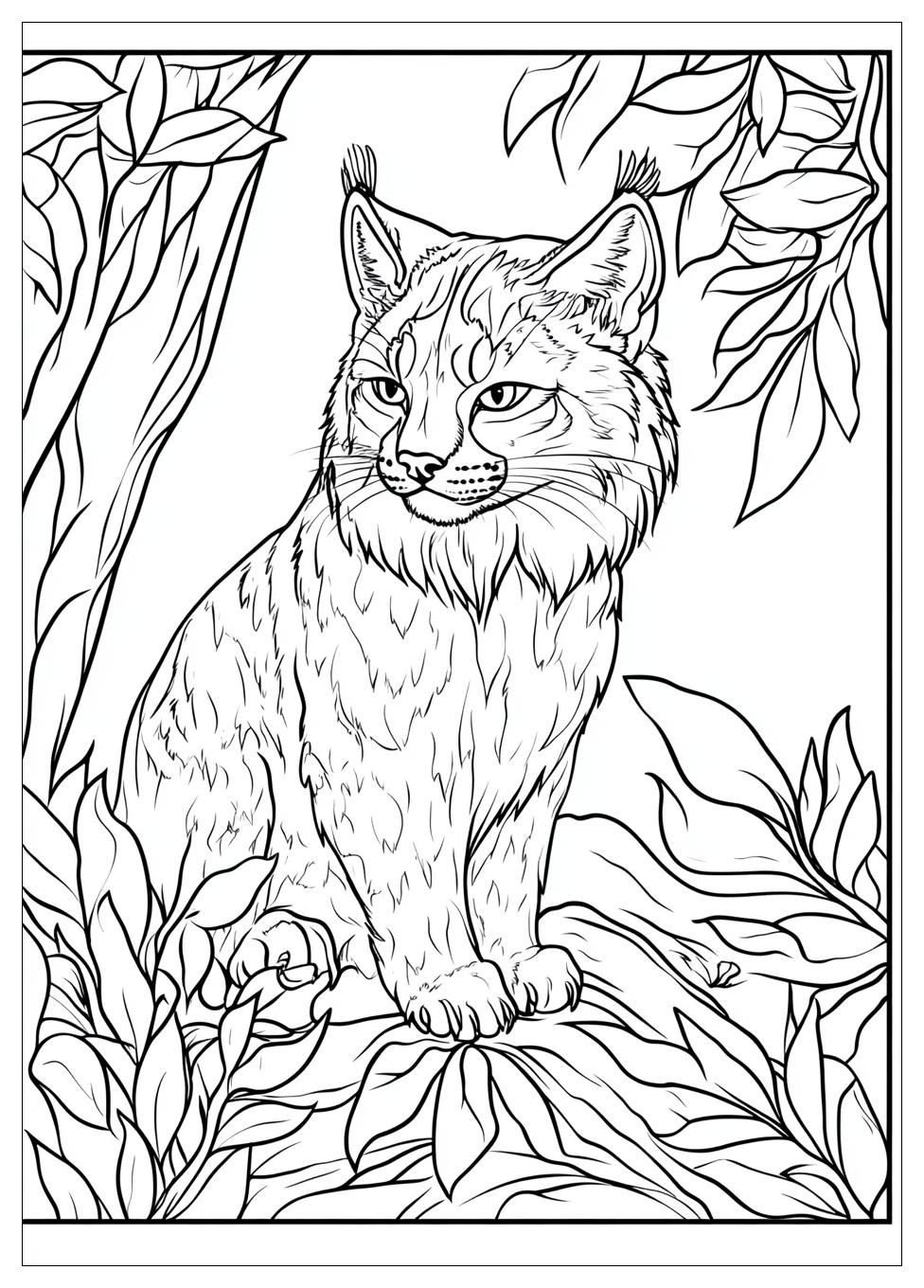 Luchs Ausmalbilder 8