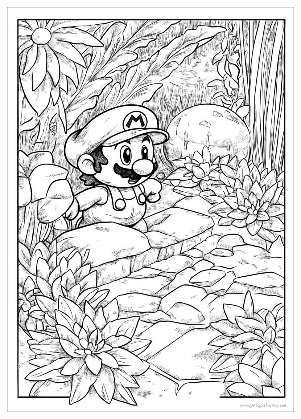 Mario Bros Ausmalbilder 15