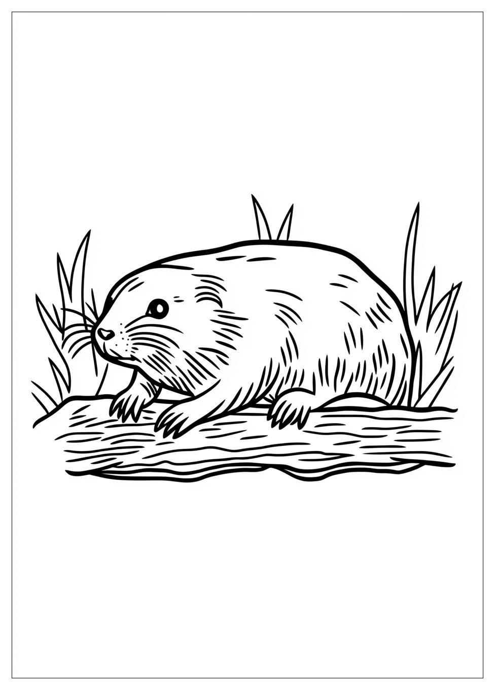 Maulwurf Ausmalbilder 13