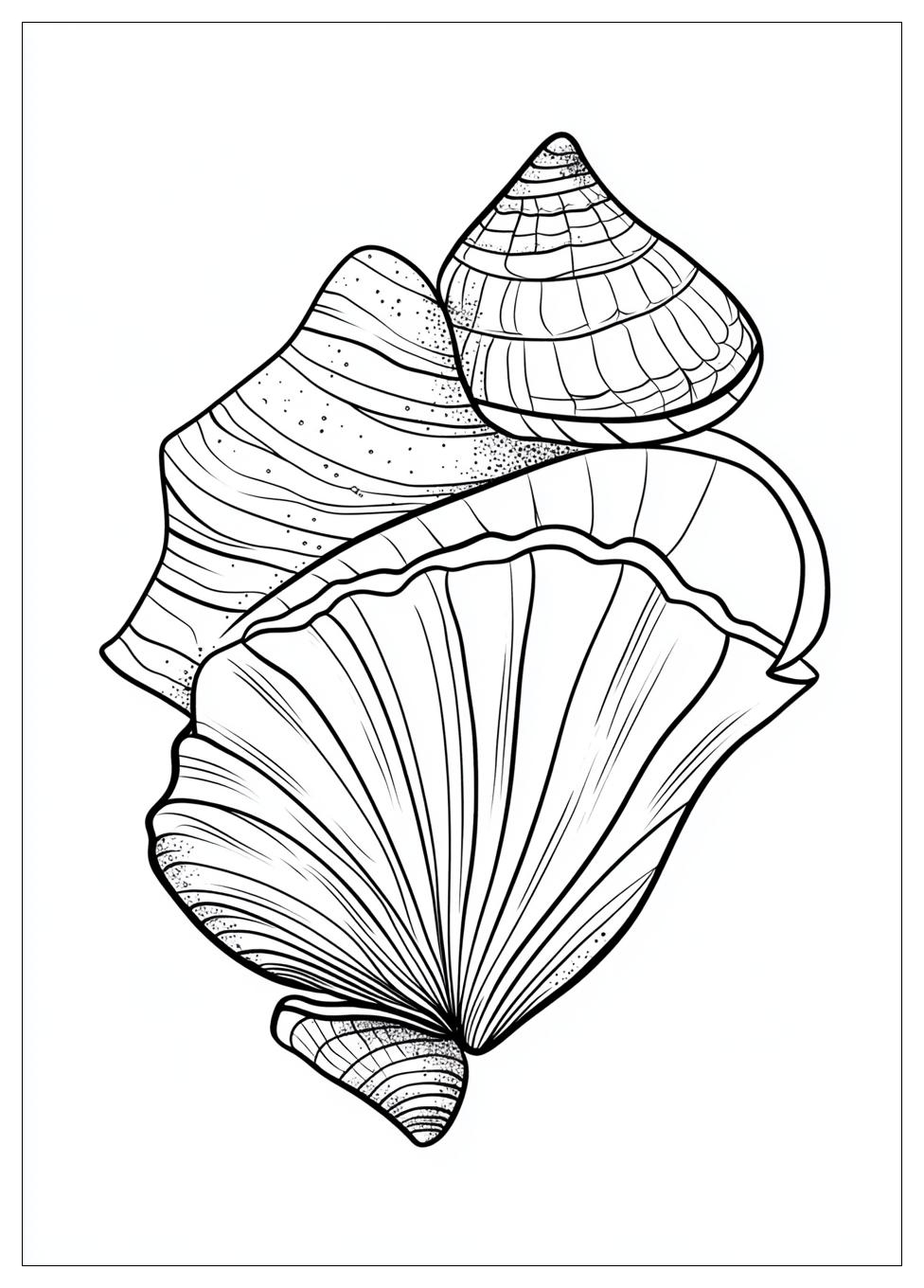 Muschel Ausmalbilder 3
