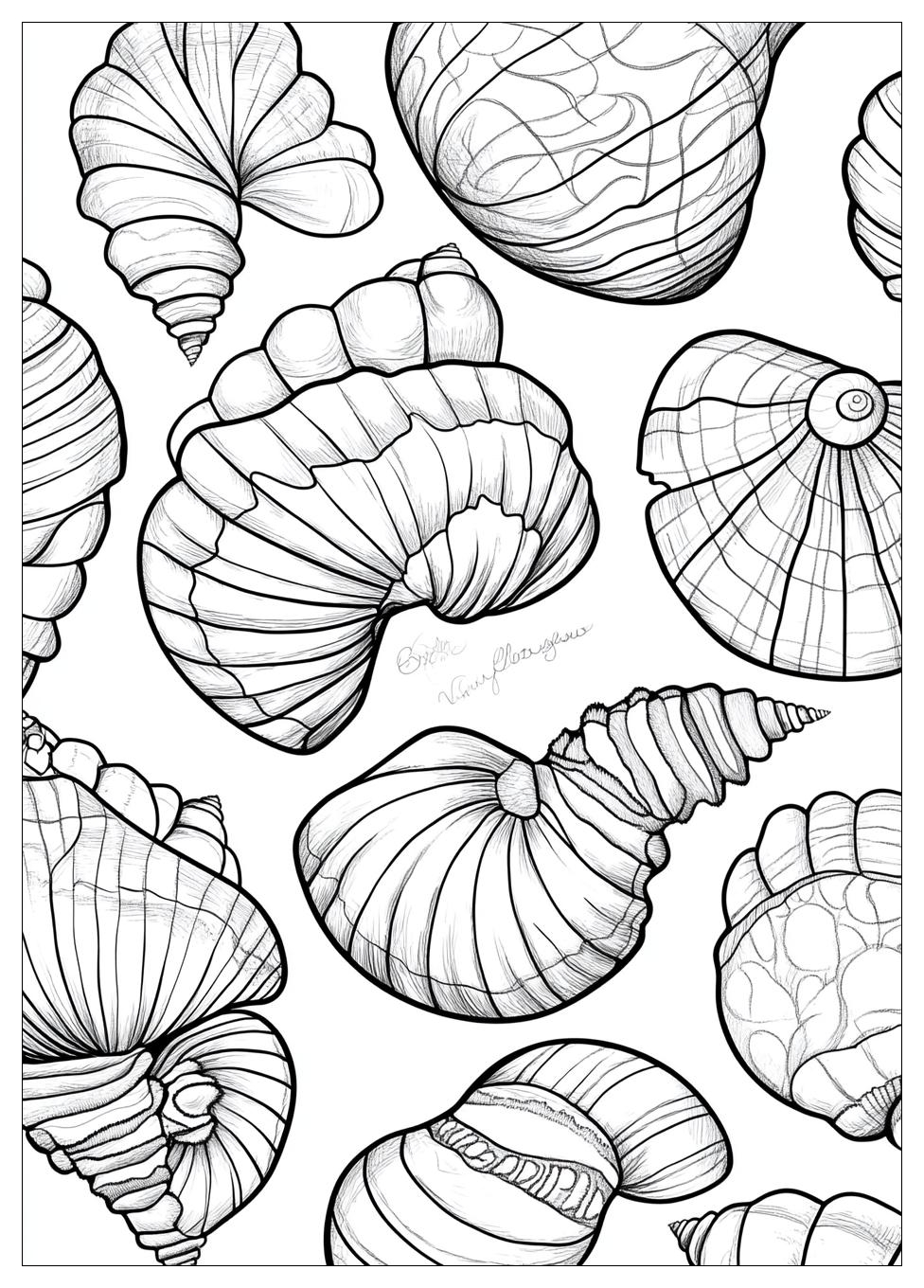 Muscheln Ausmalbilder 15