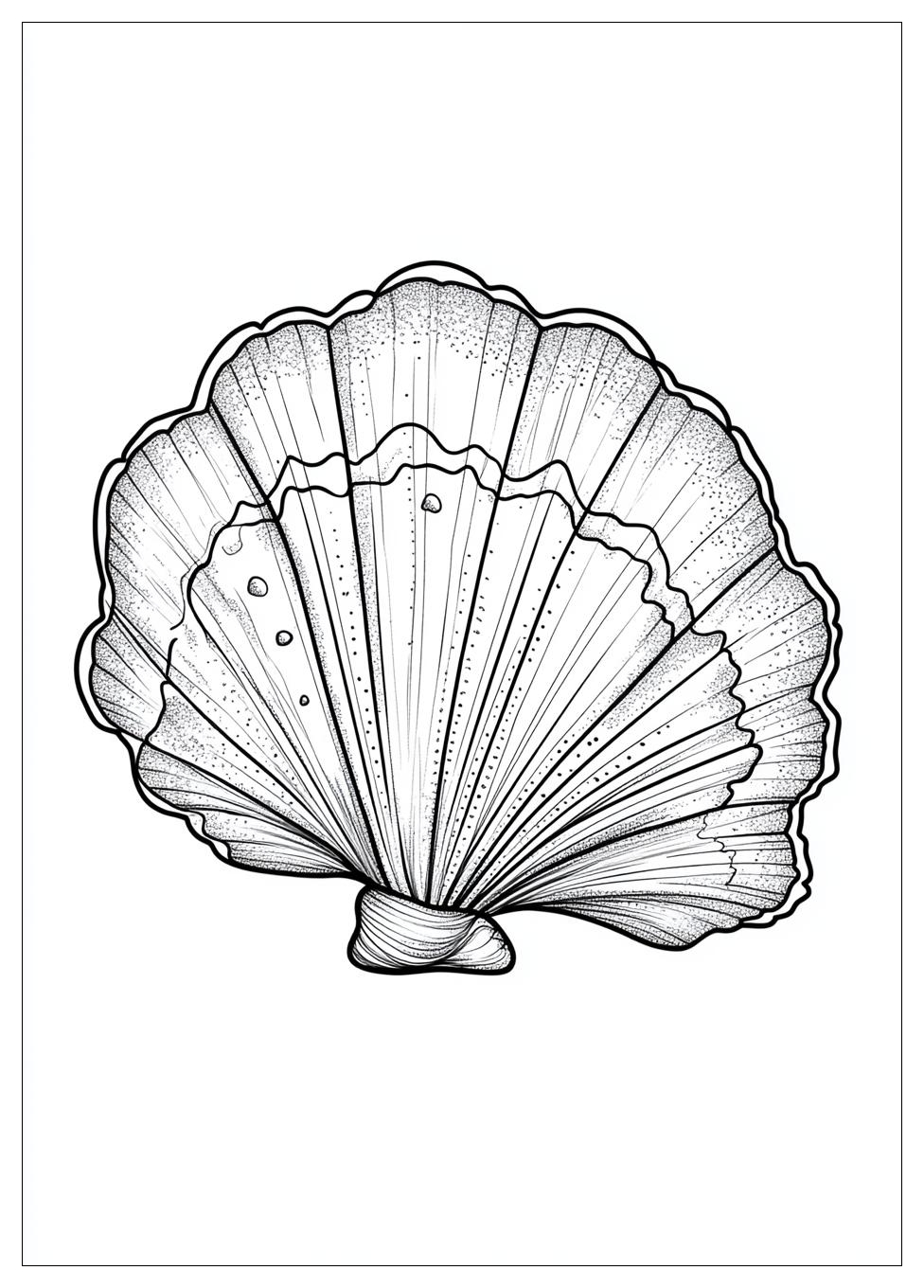 Muscheln Ausmalbilder 3