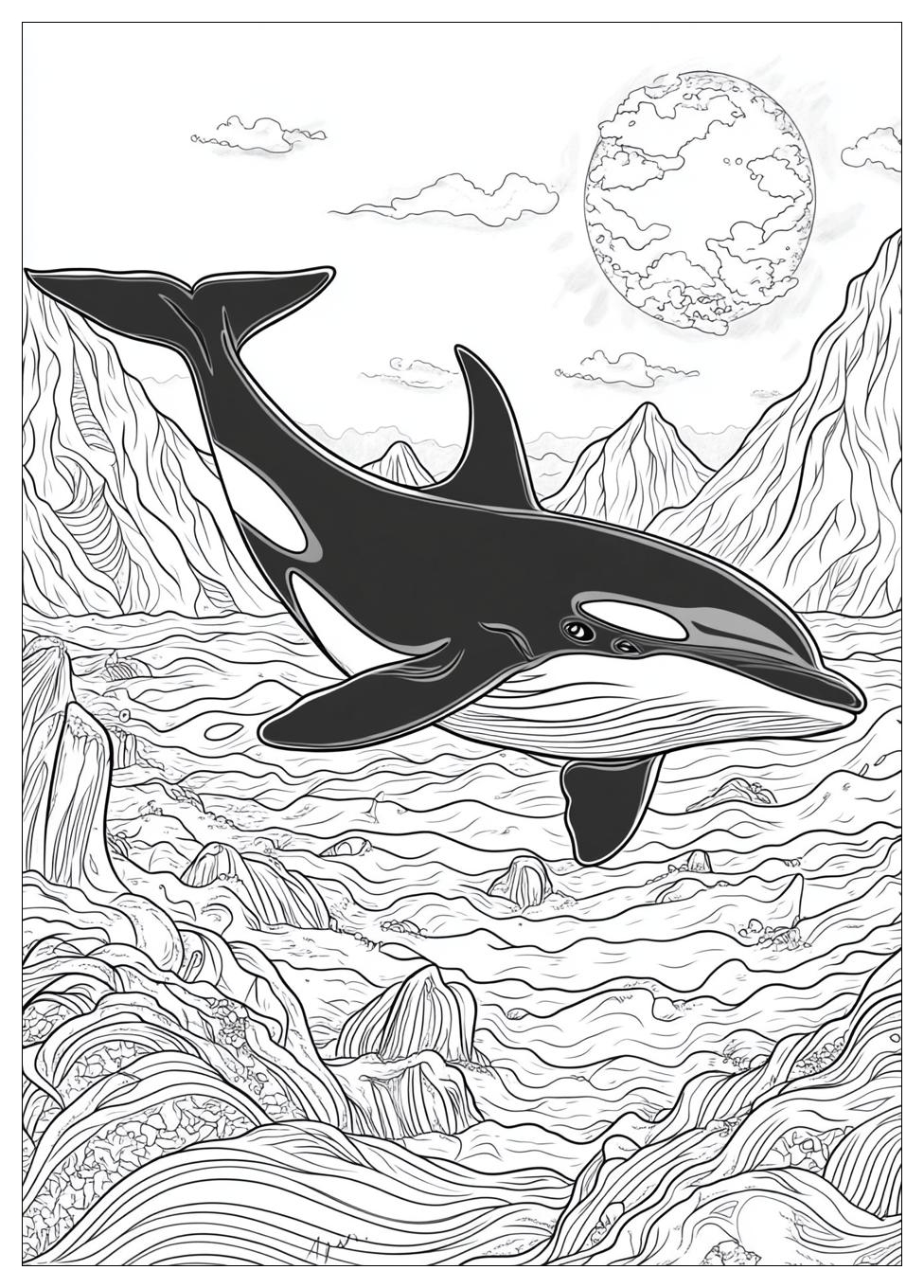 Orca Ausmalbilder 11