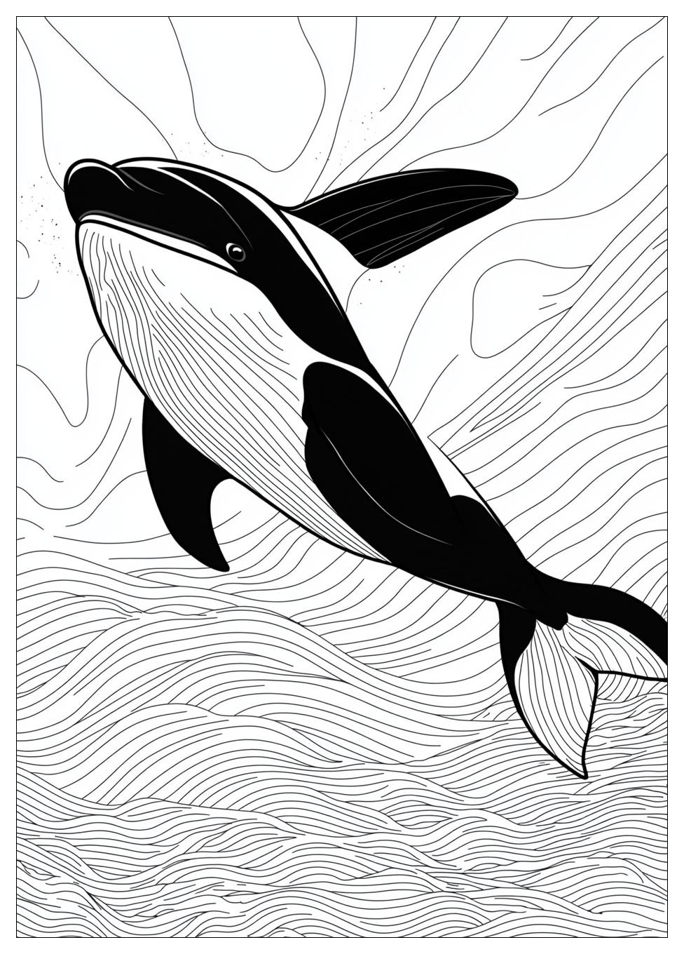 Orca Ausmalbilder 13