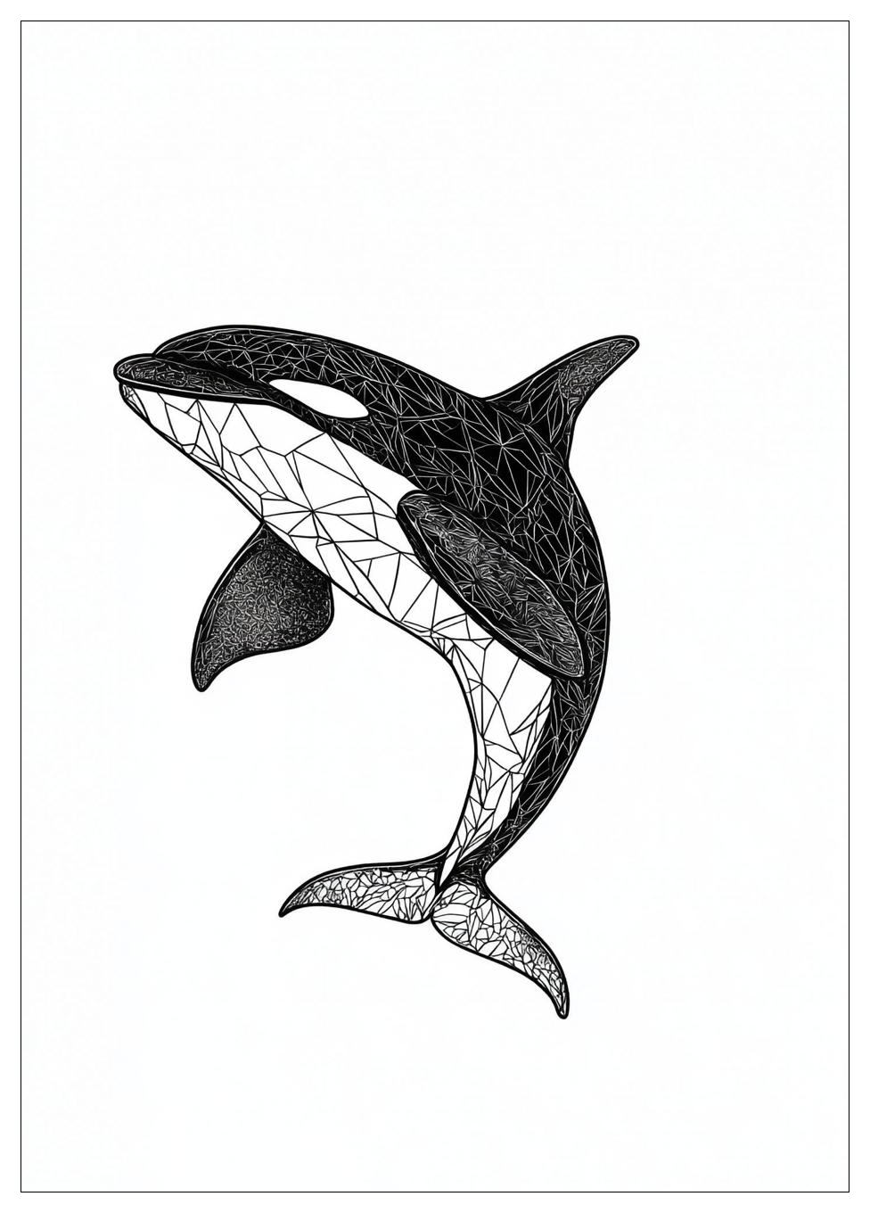 Orca Ausmalbilder 14