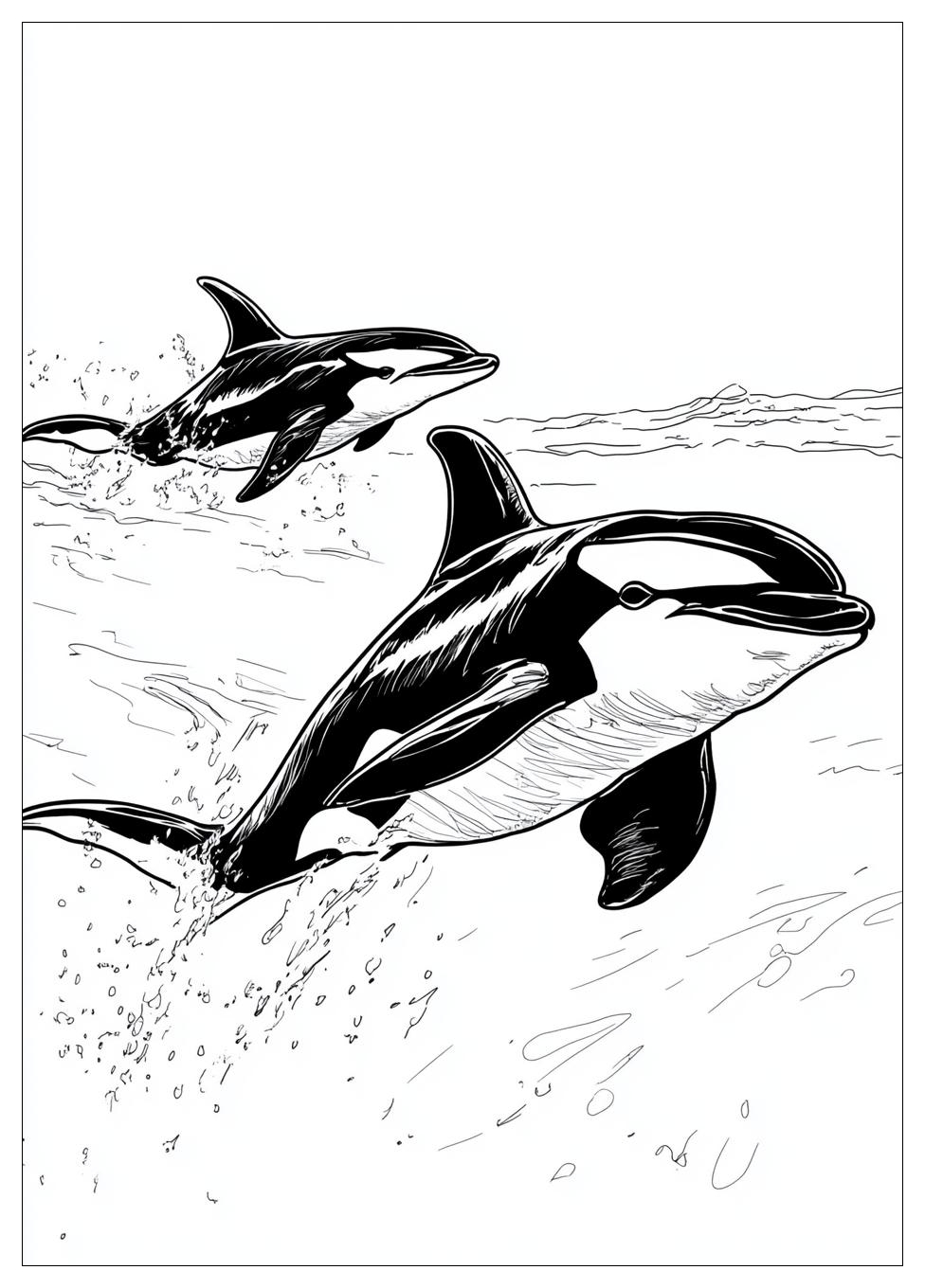 Orca Ausmalbilder 15