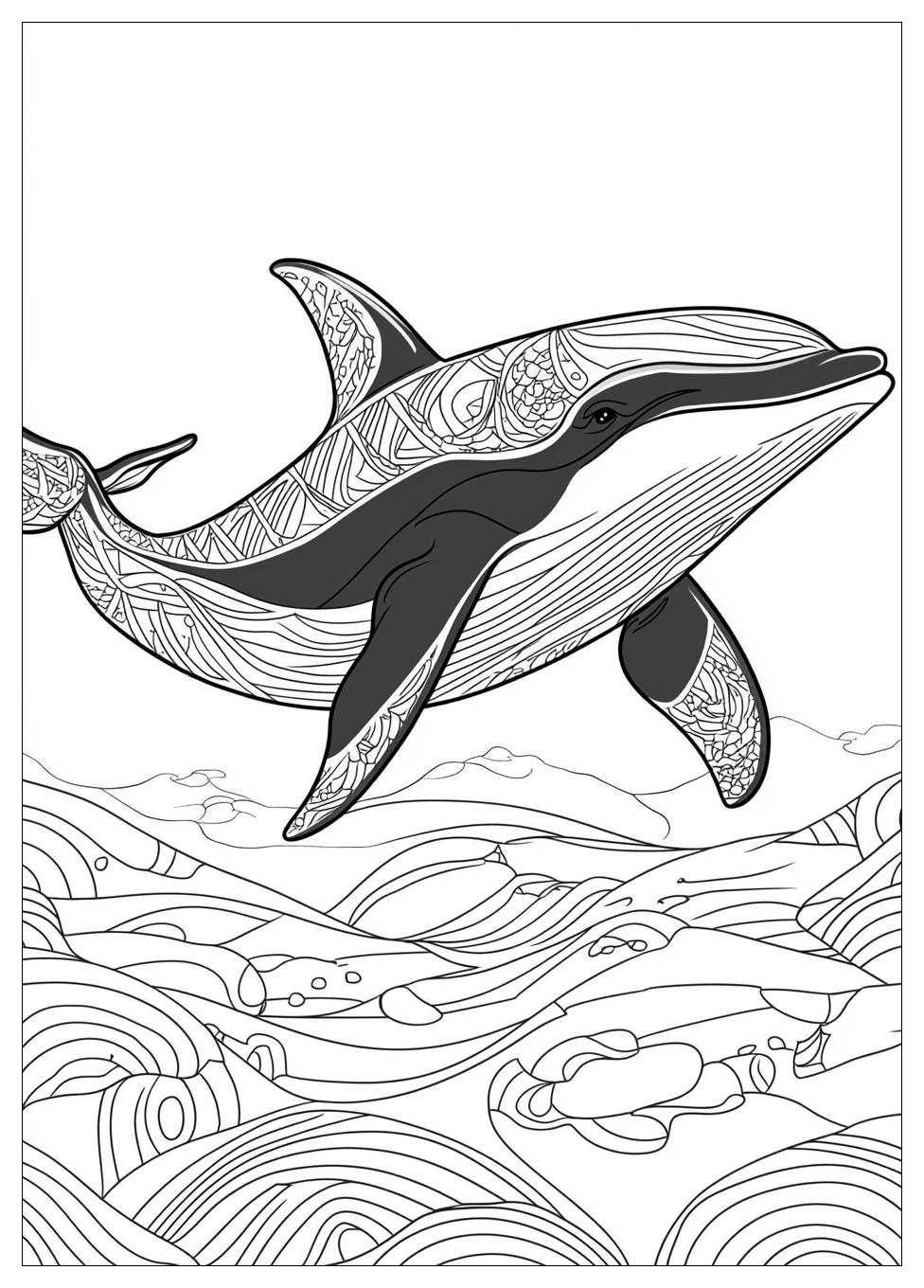 Orca Ausmalbilder 18
