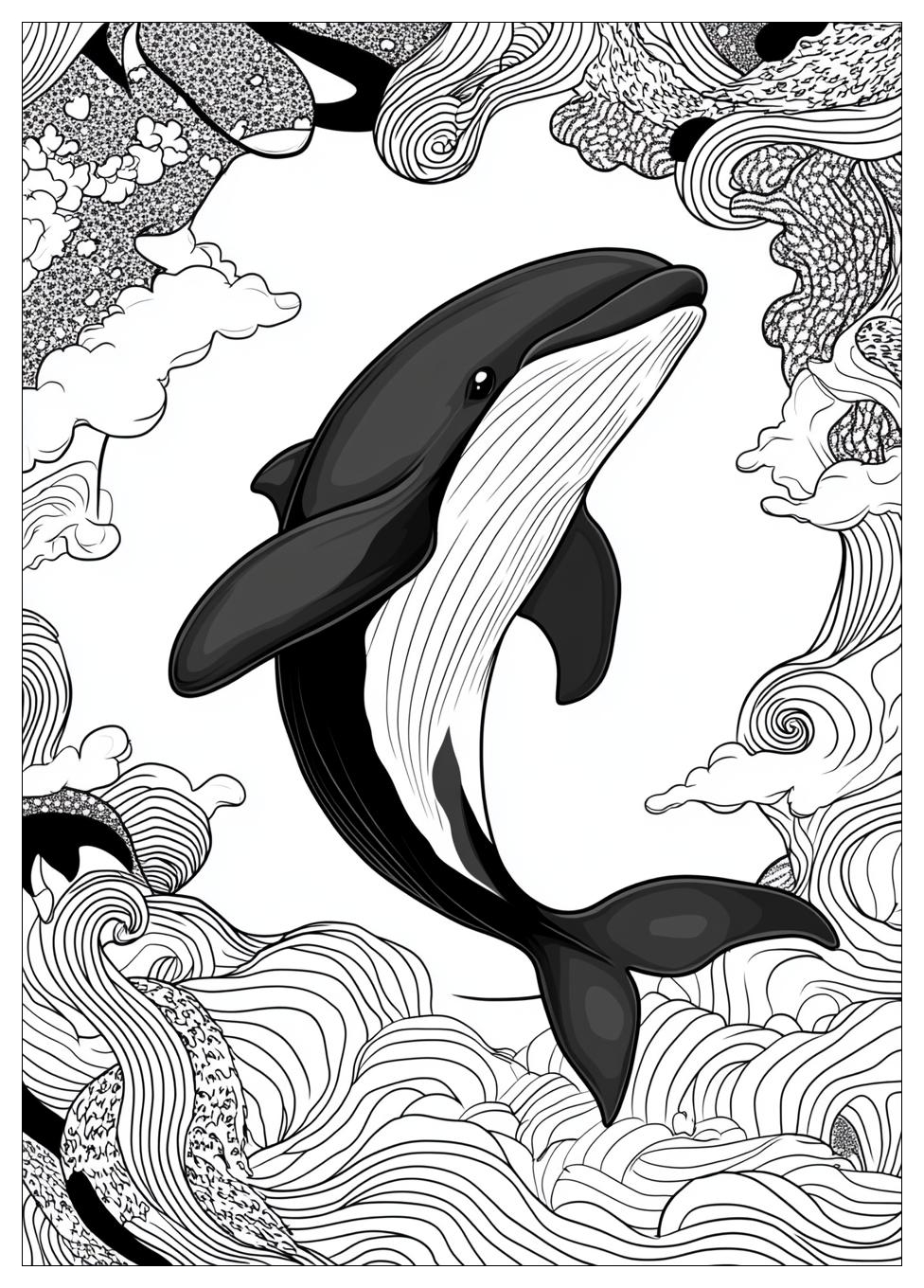 Orca Ausmalbilder 19