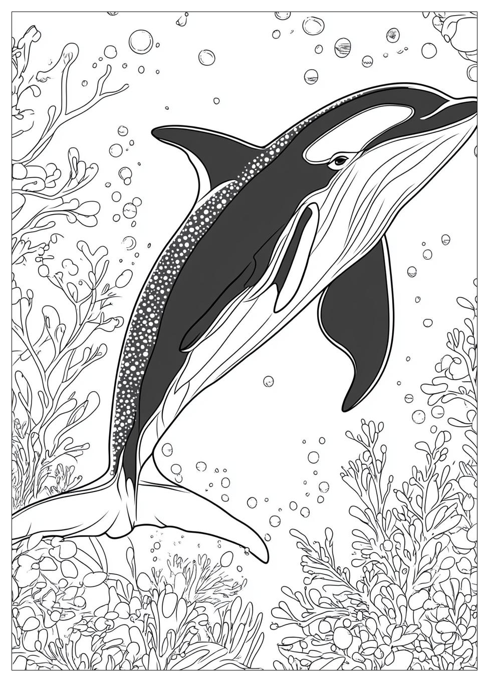 Orca Ausmalbilder 23