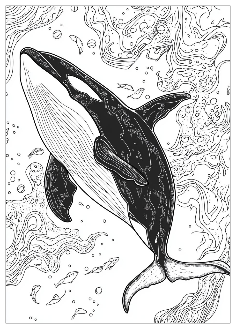 Orca Ausmalbilder 6