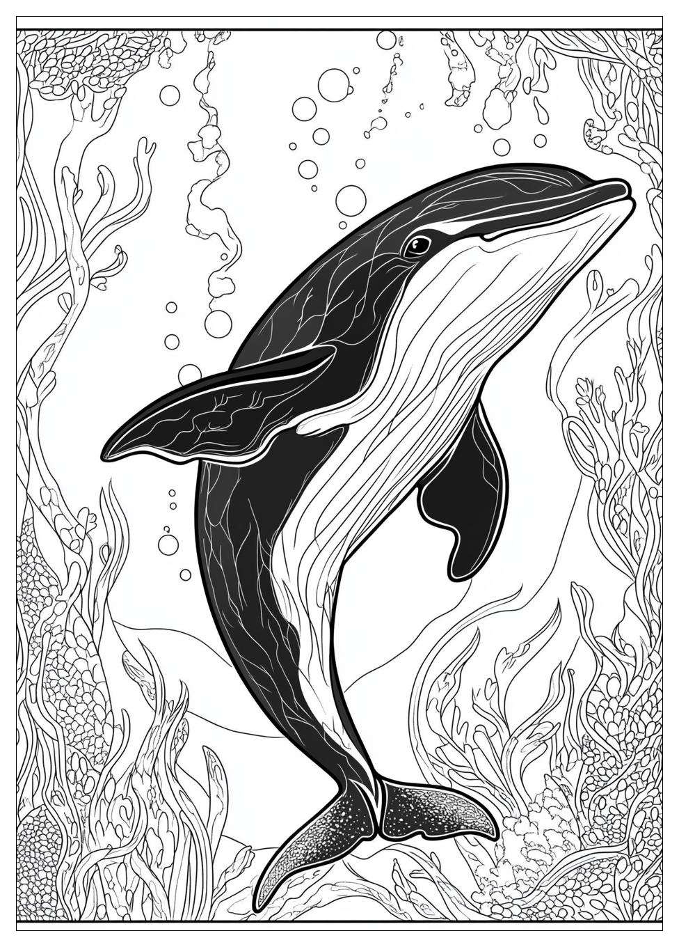 Orca Ausmalbilder 8