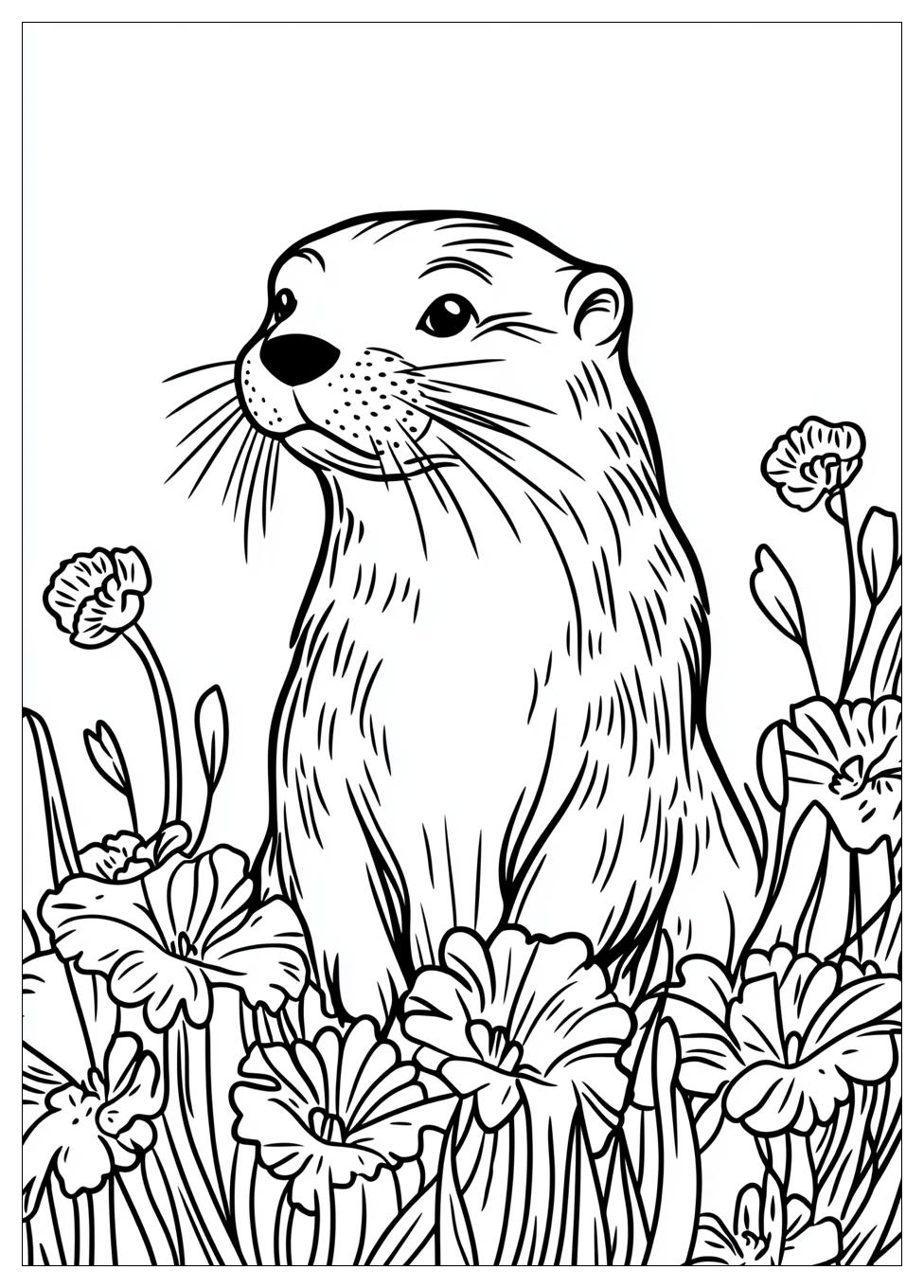 Otter Ausmalbilder 16