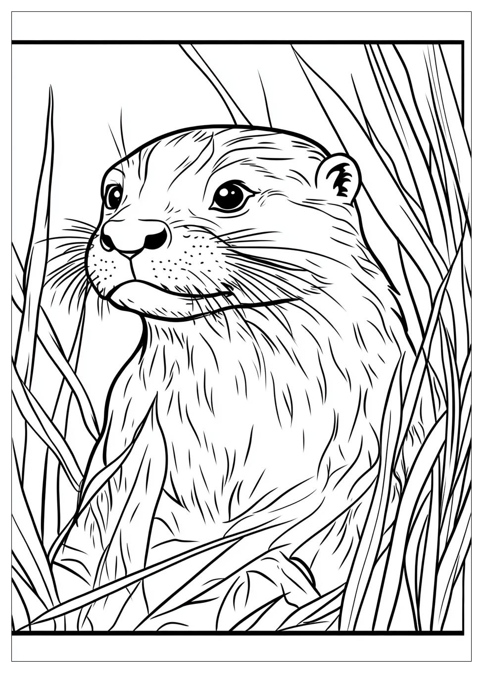 Otter Ausmalbilder 18